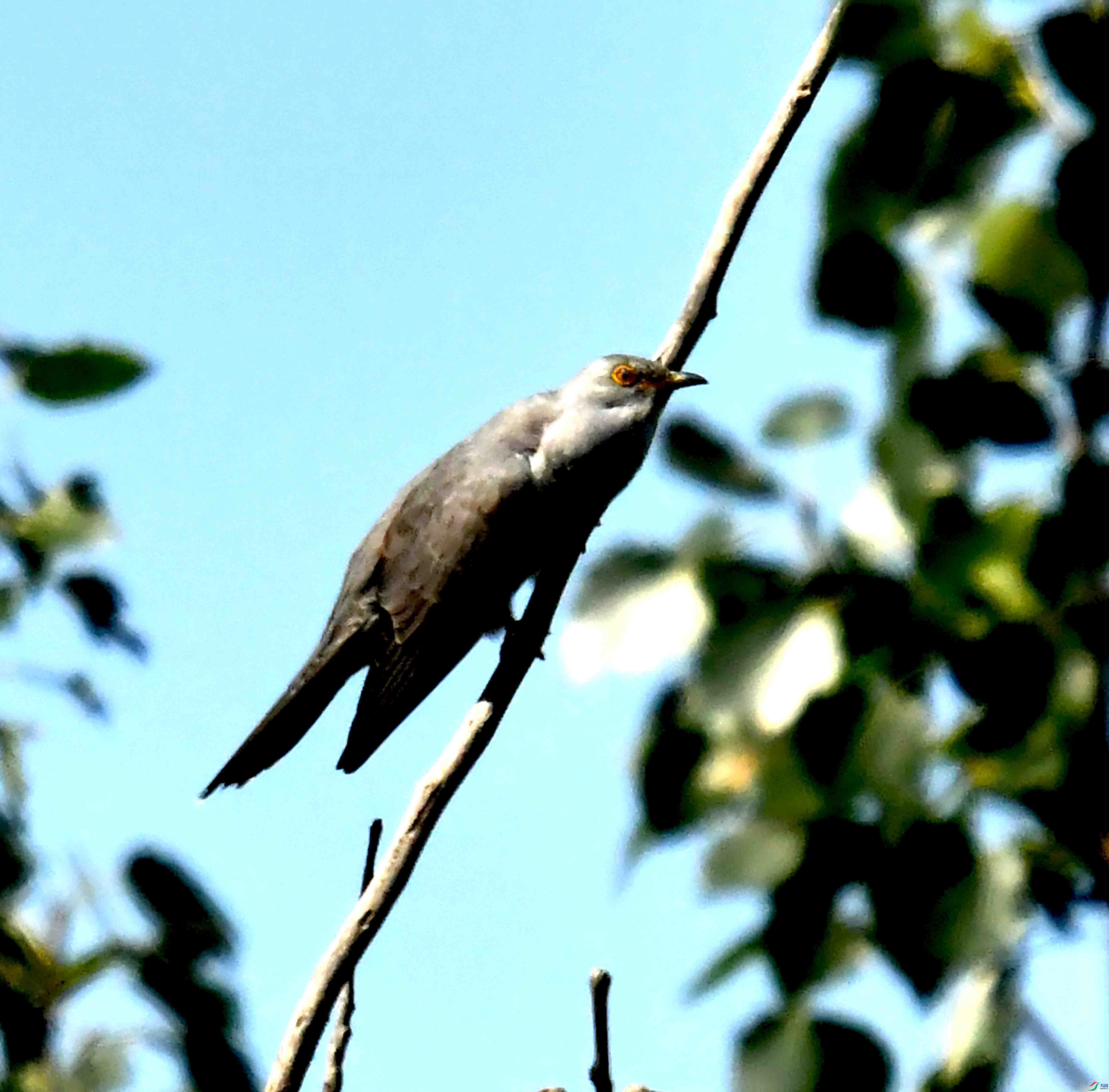 DSC_2640.JPG