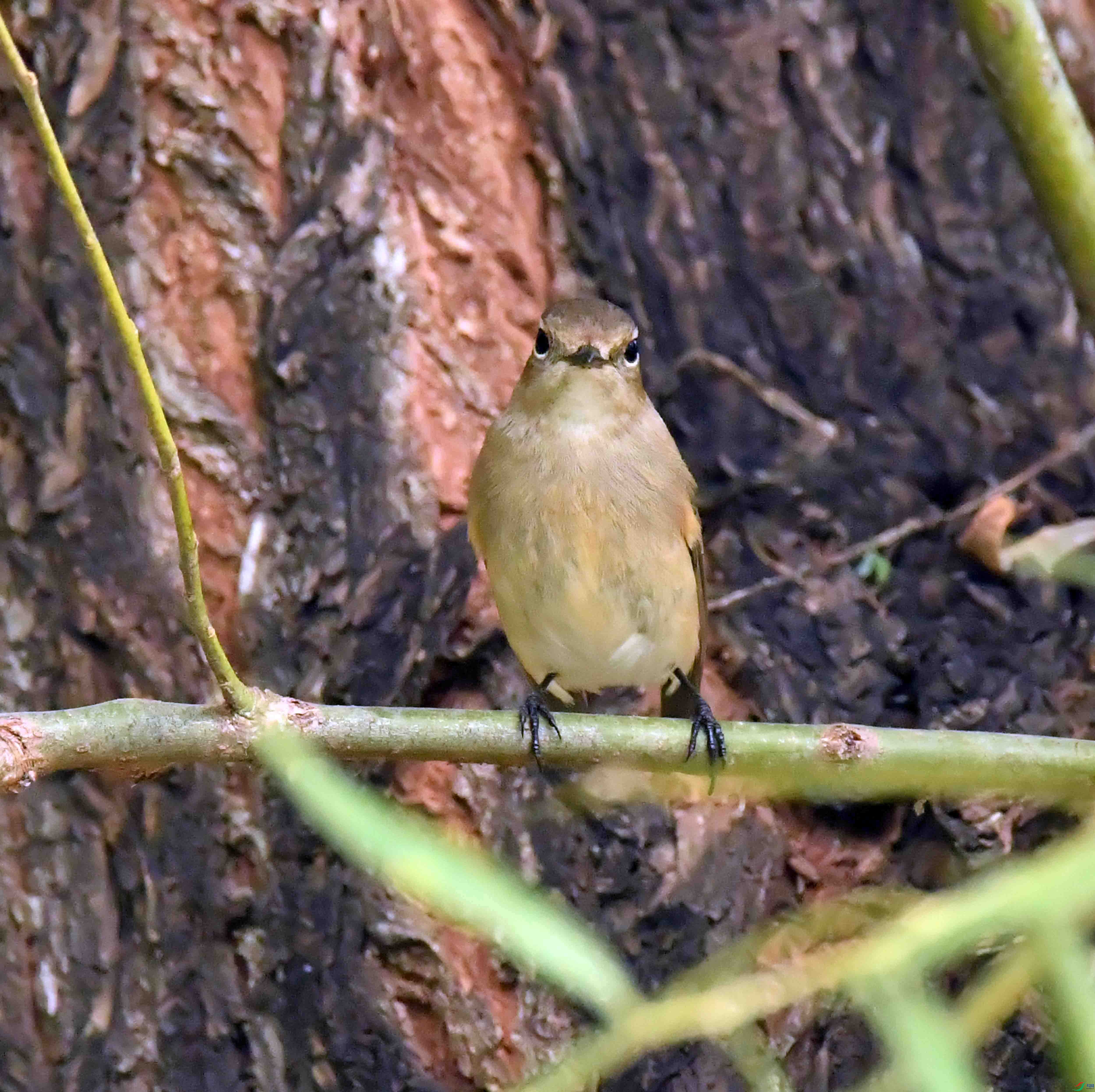 DSC_1553.JPG