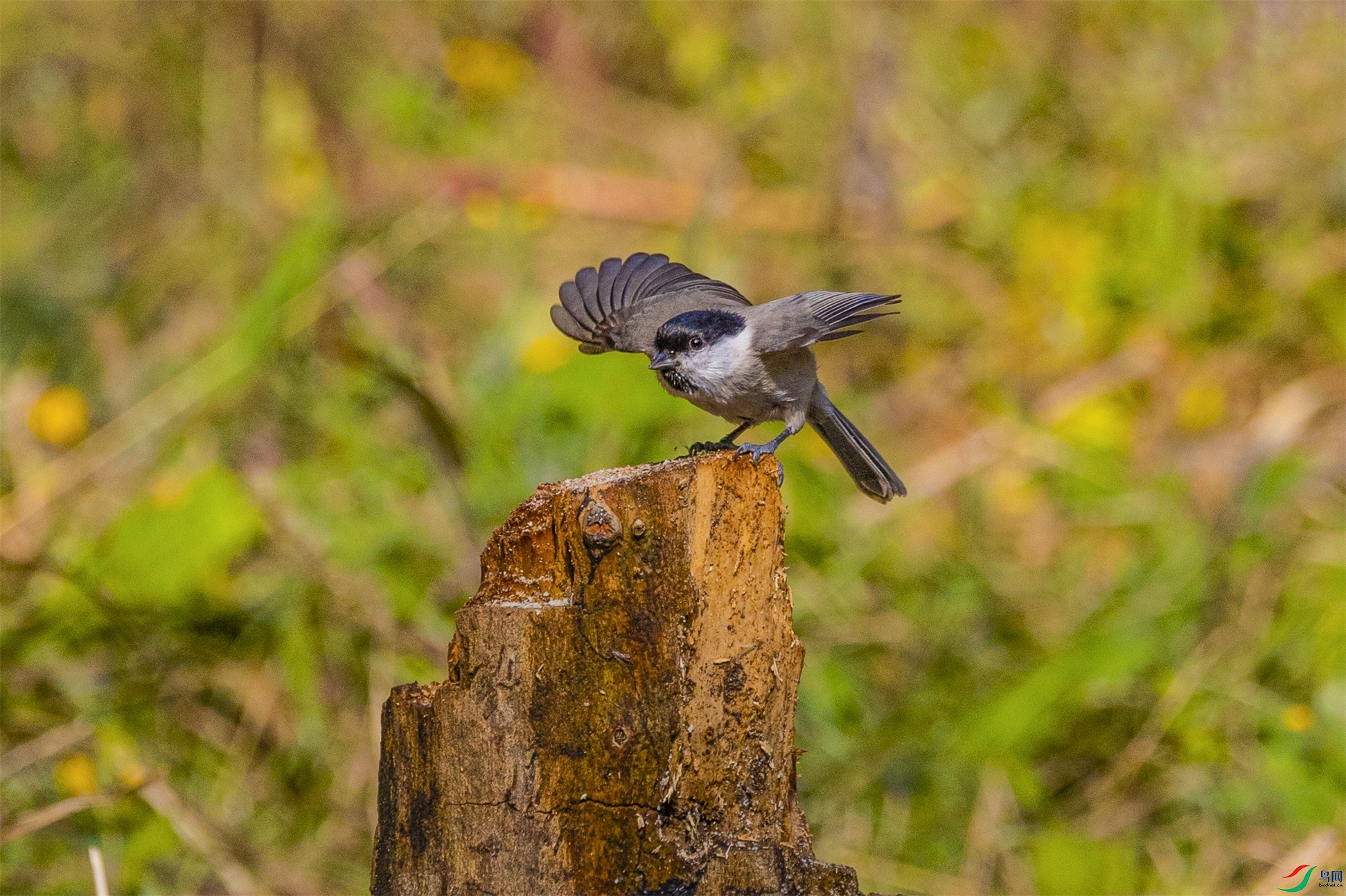 1K3A7358 ����1.jpg