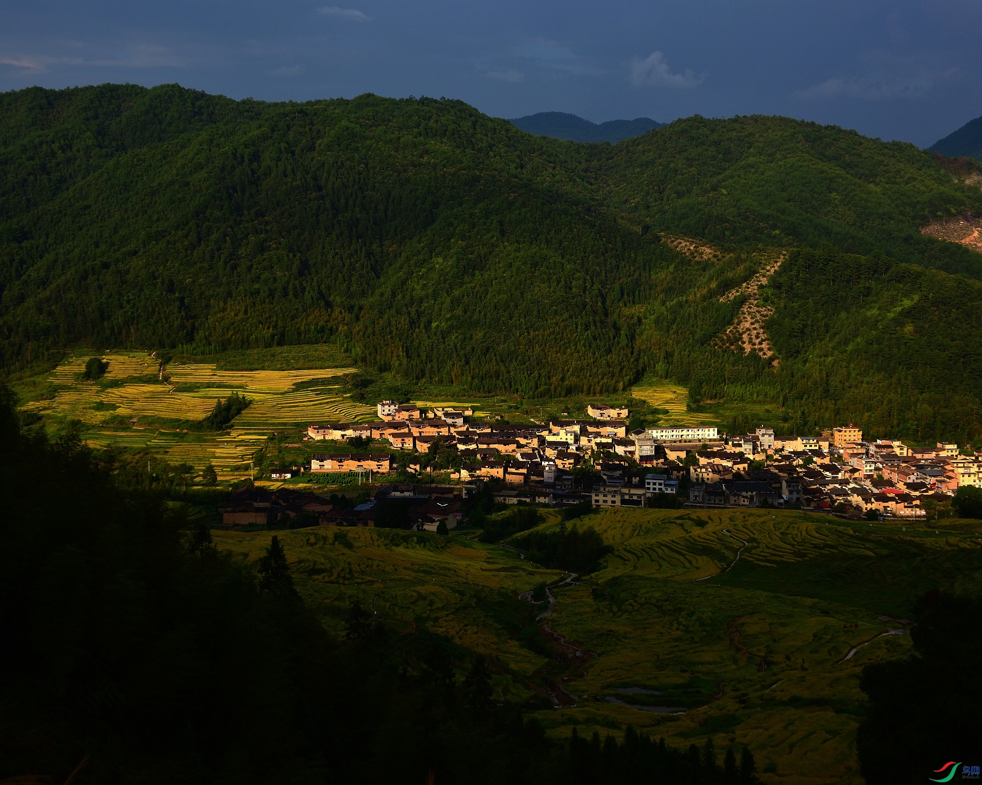 D8I_2572.jpg