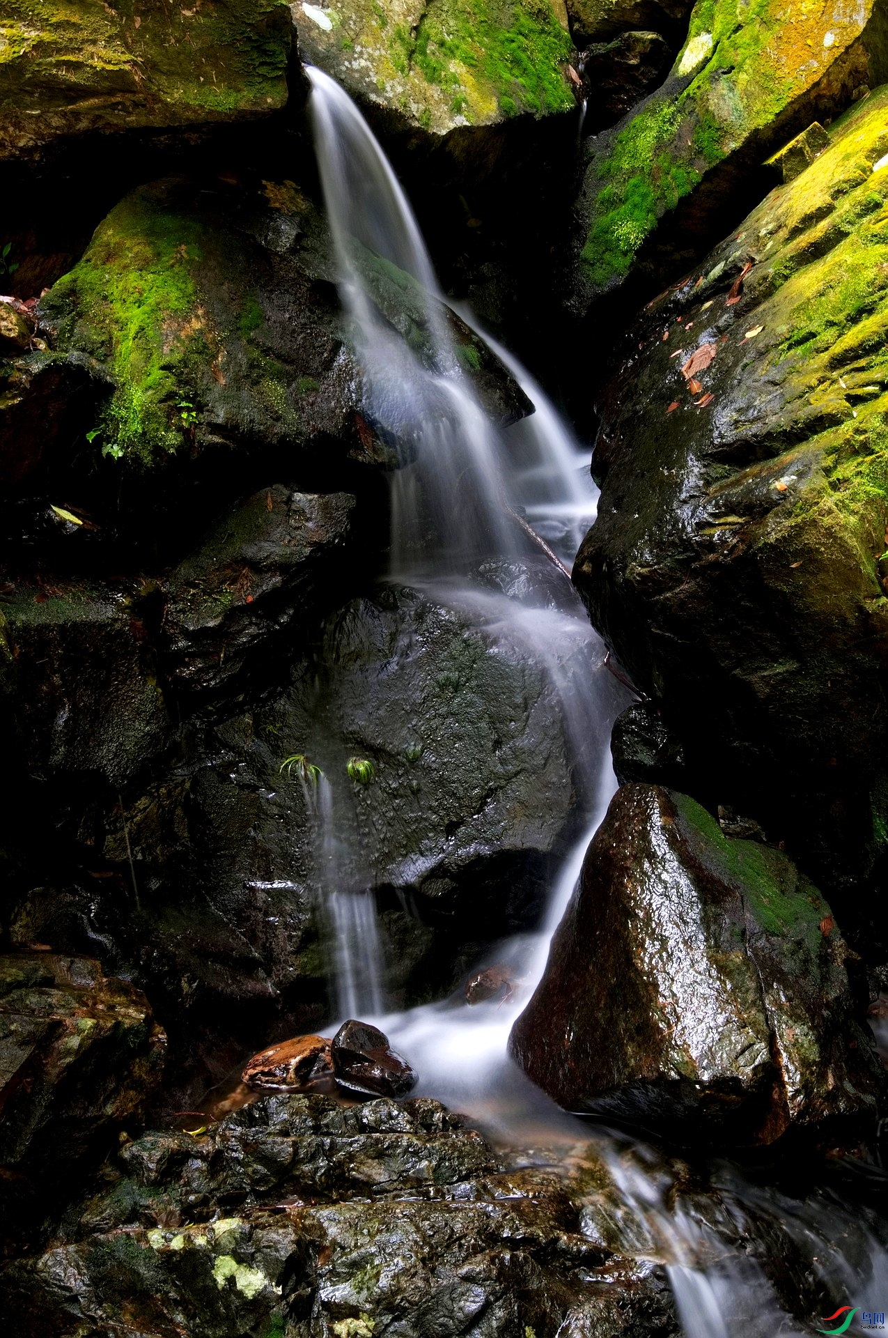 DSC_1140.jpg