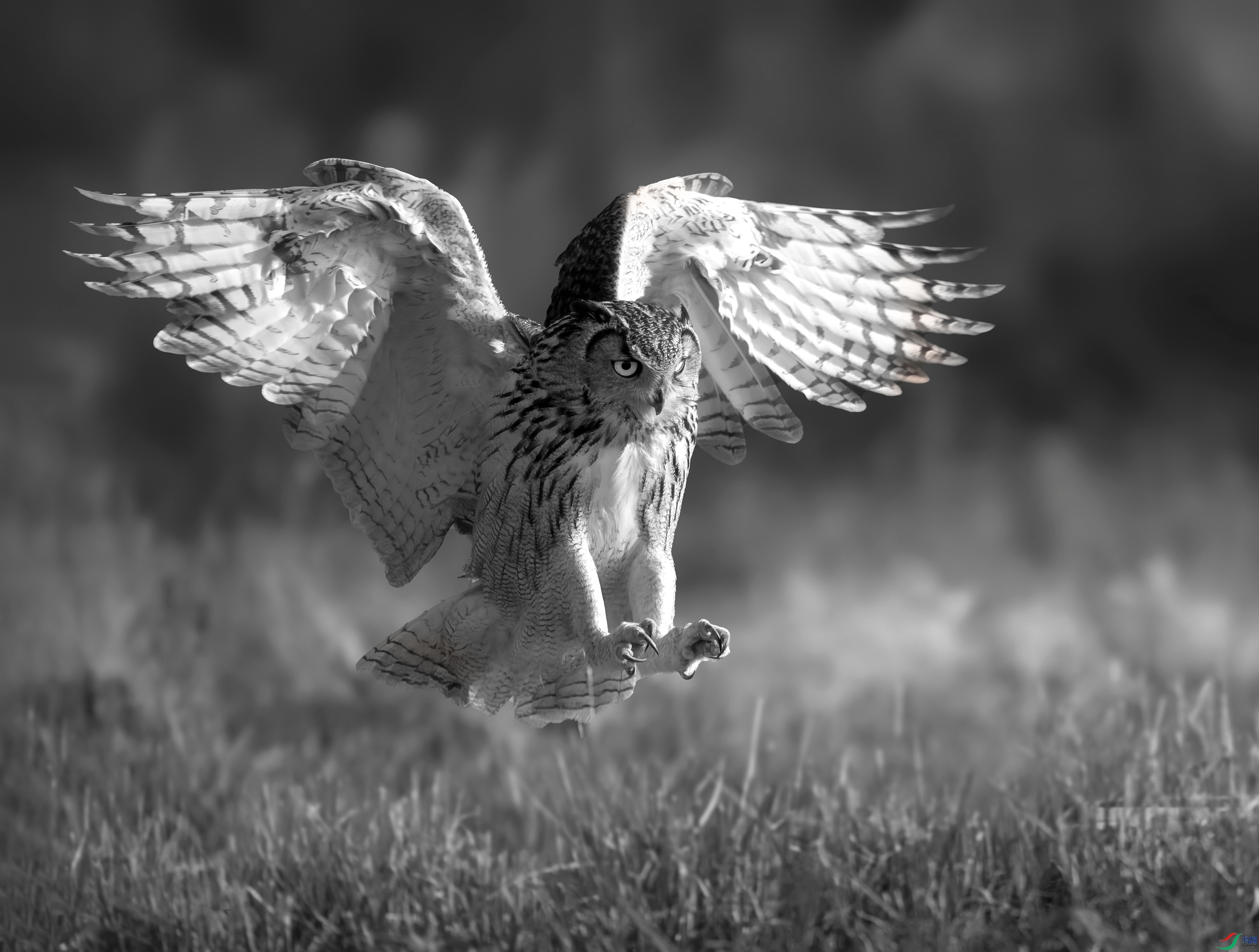 landing.jpg