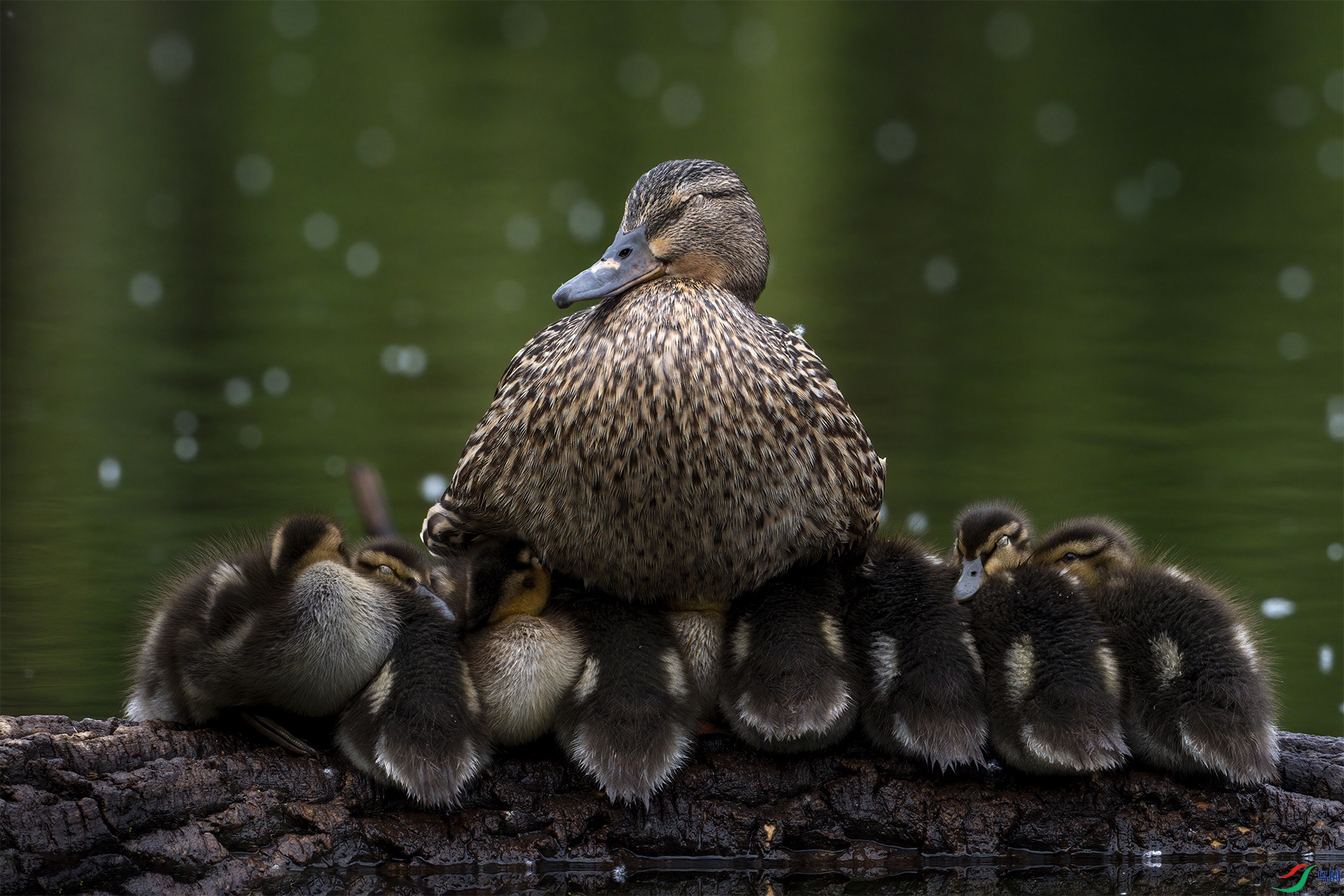 One family.jpg