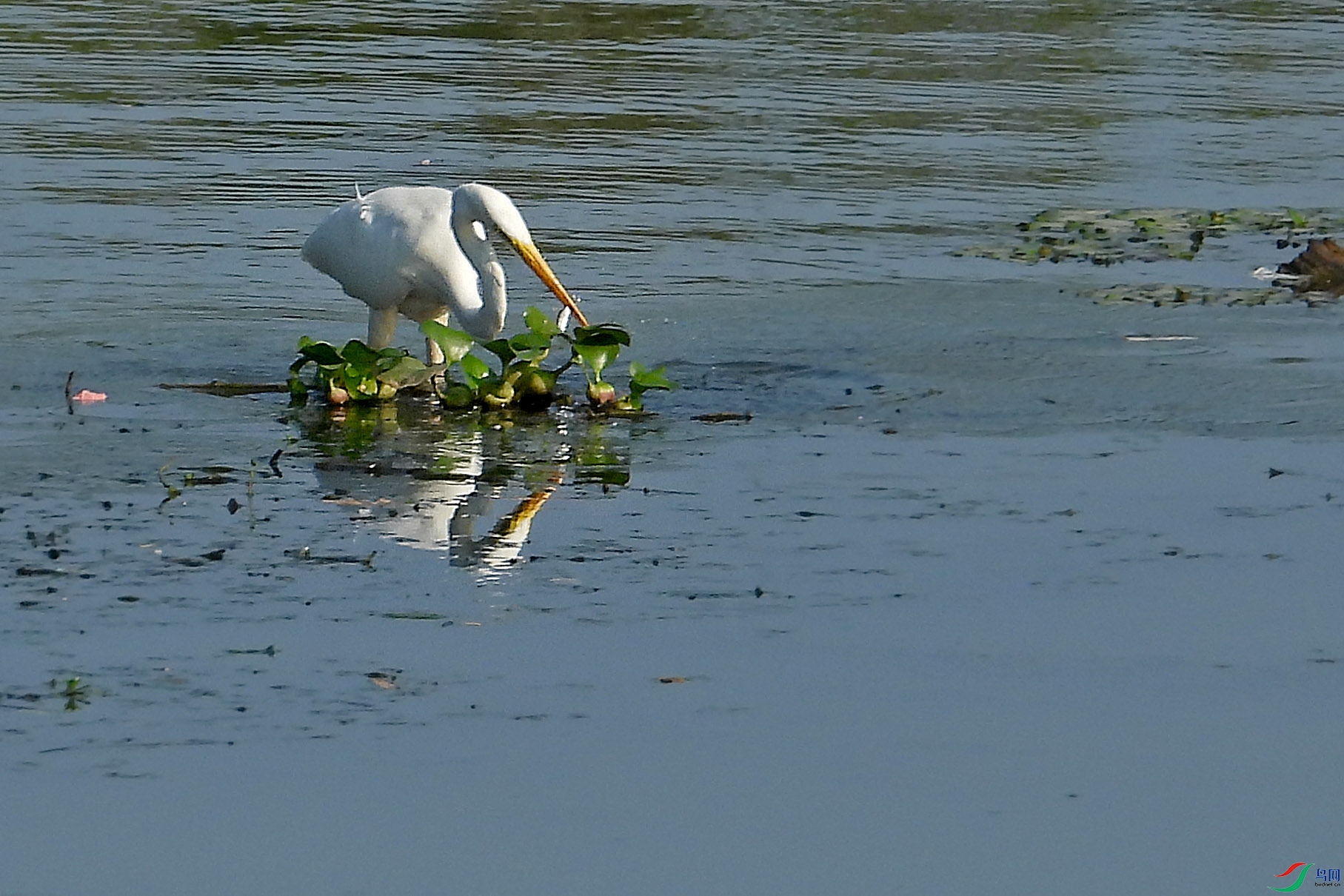 DSCN9062.JPG