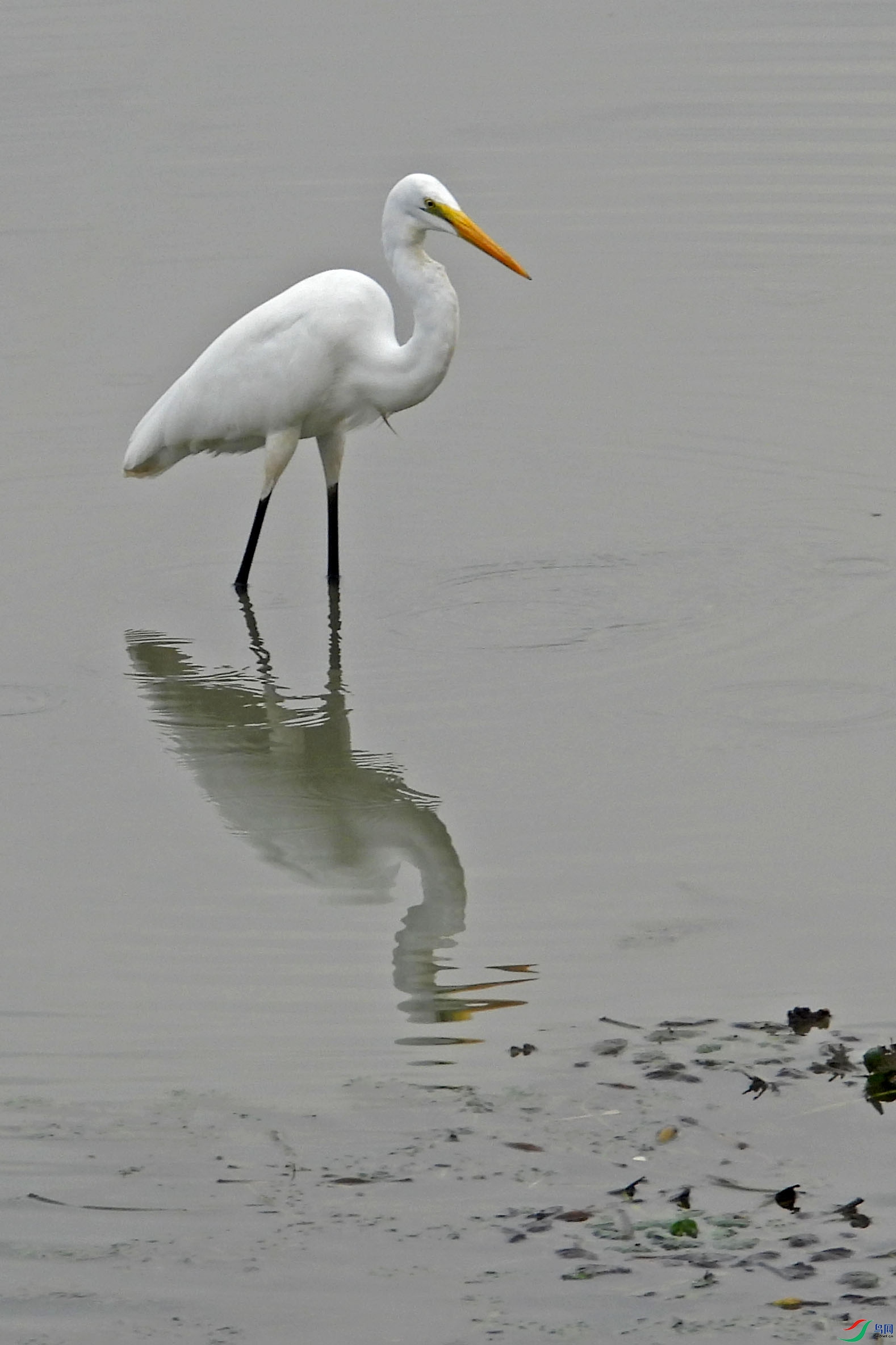 DSCN9462.JPG