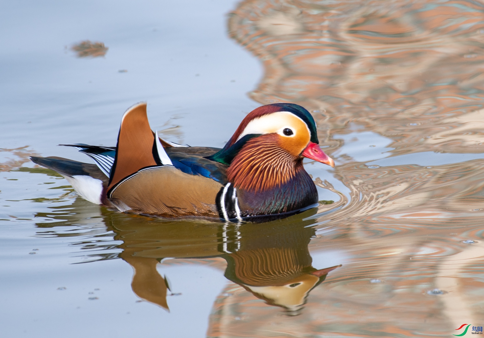 DSC_4034_1.jpg