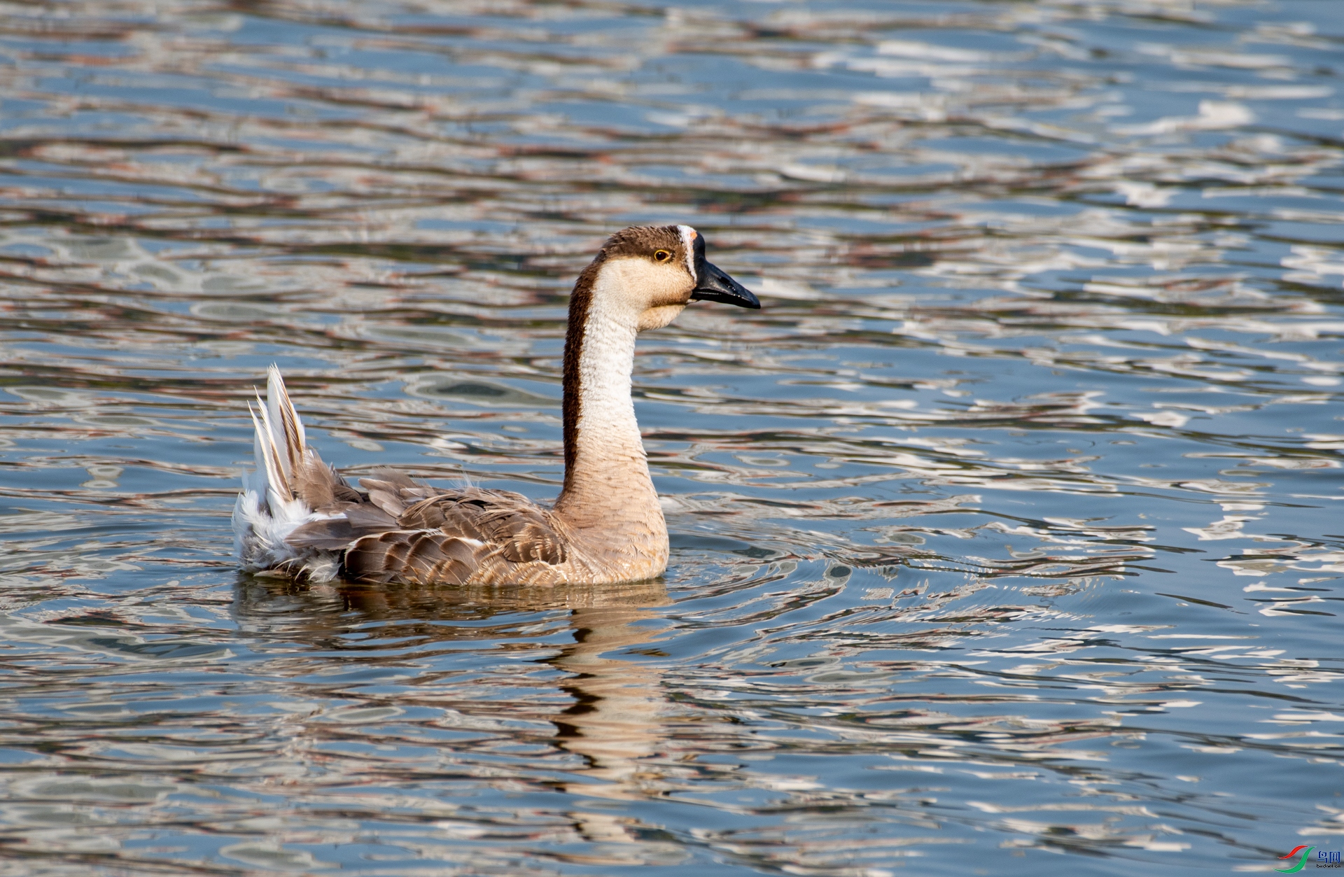 DSC_3948.jpg