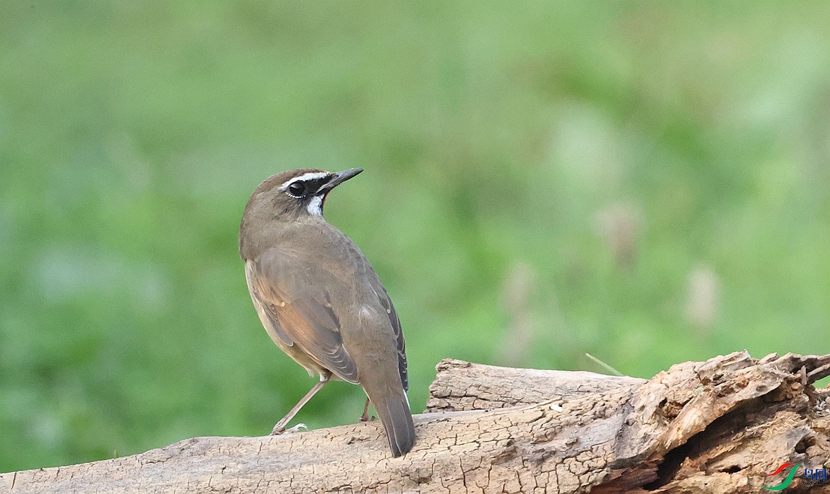 1P3A8524.JPG
