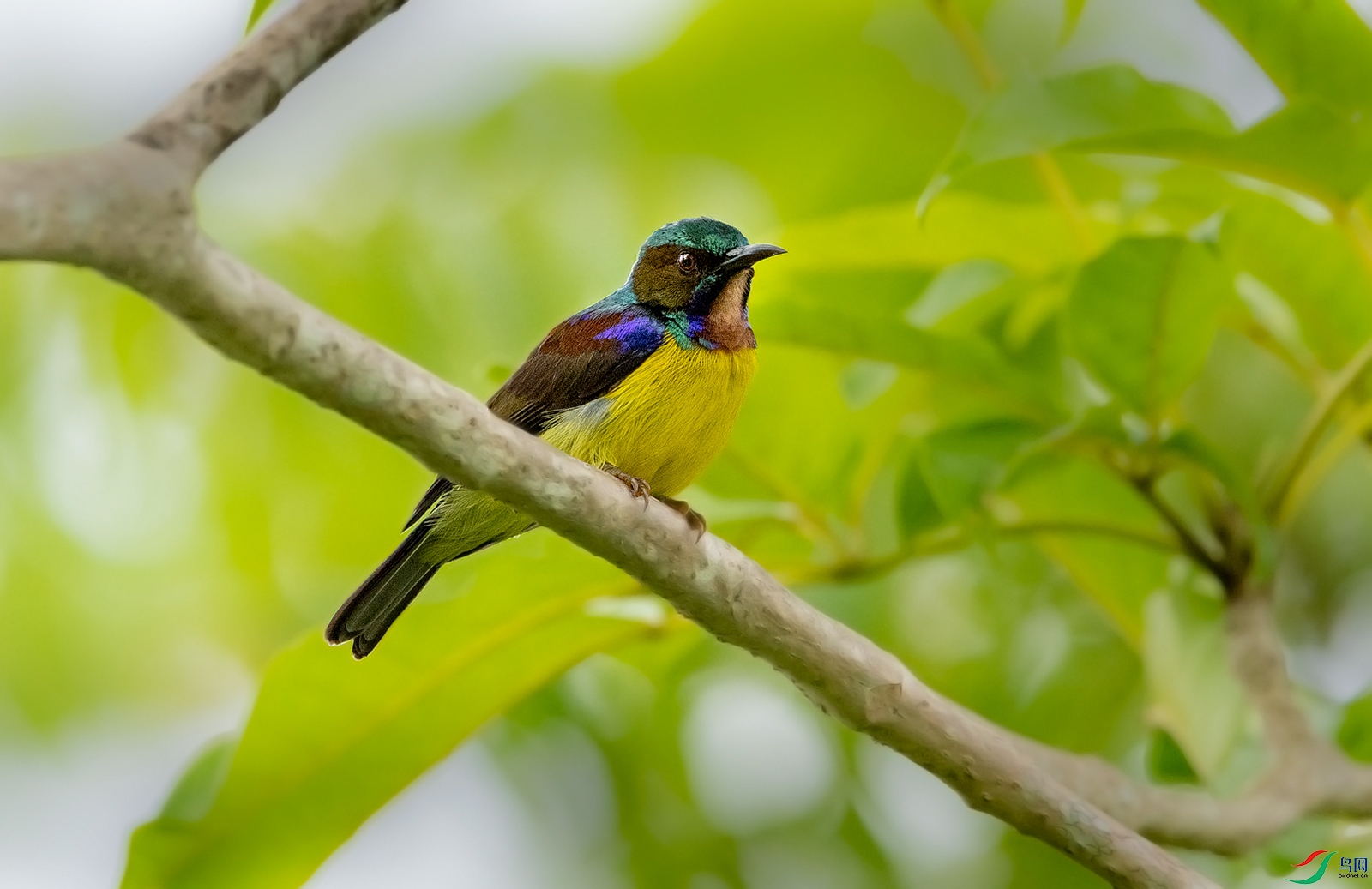 DSC_69571.jpg