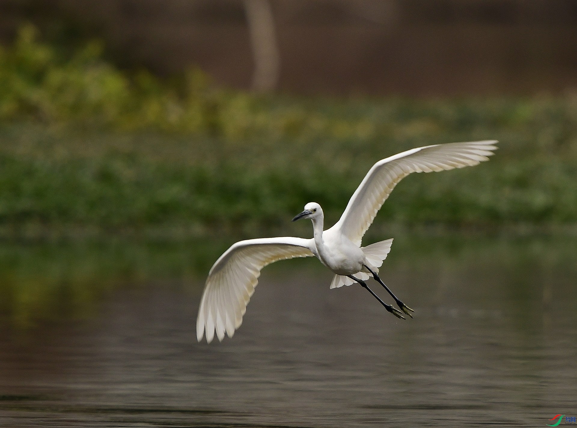 _D5D0853.jpg