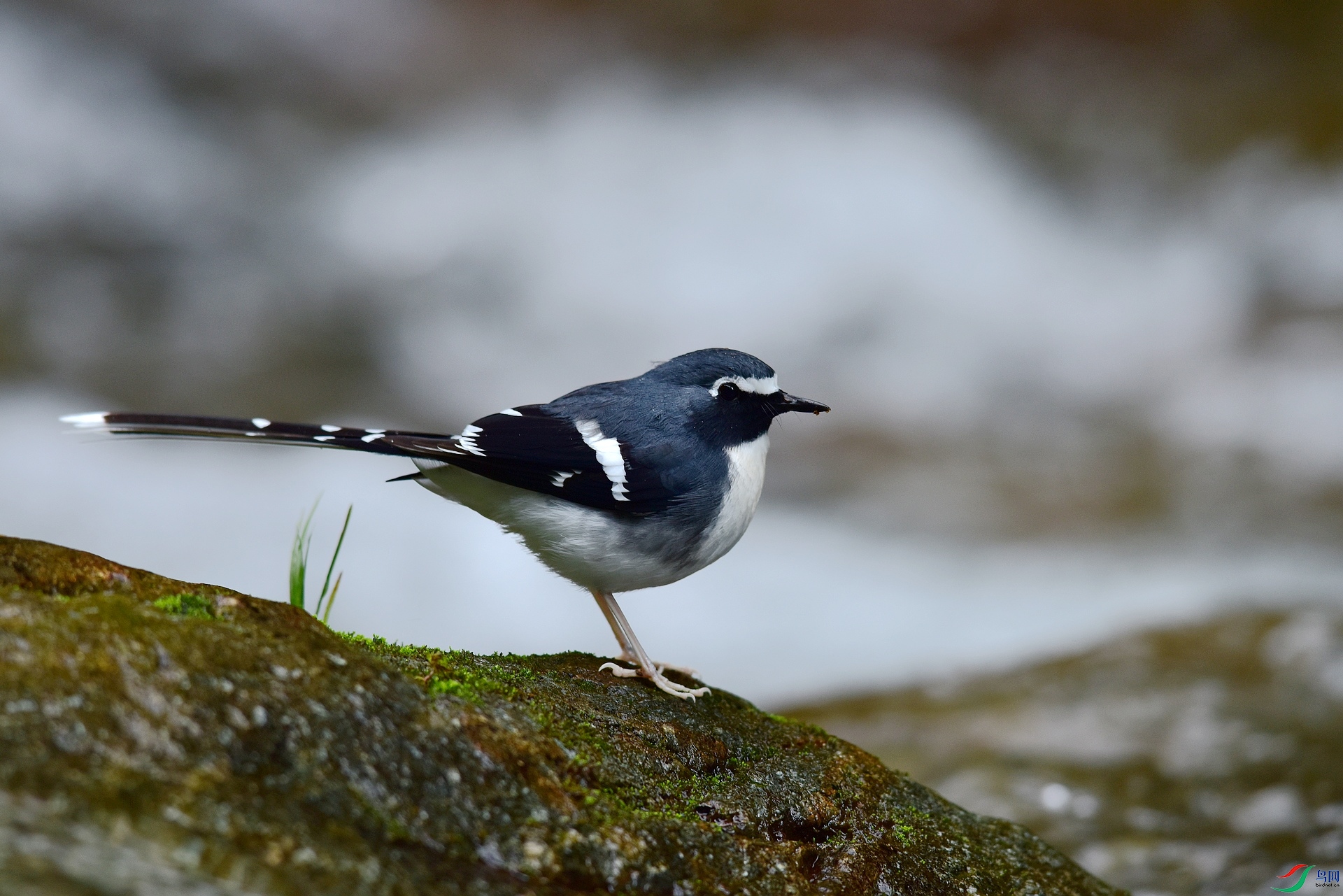 D8I_3425.jpg