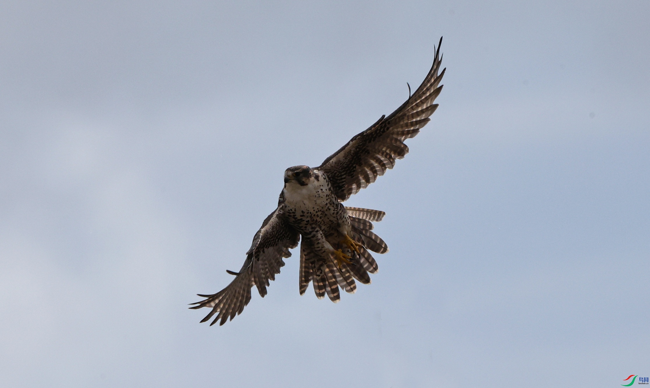 7X5A7842 - ����.JPG