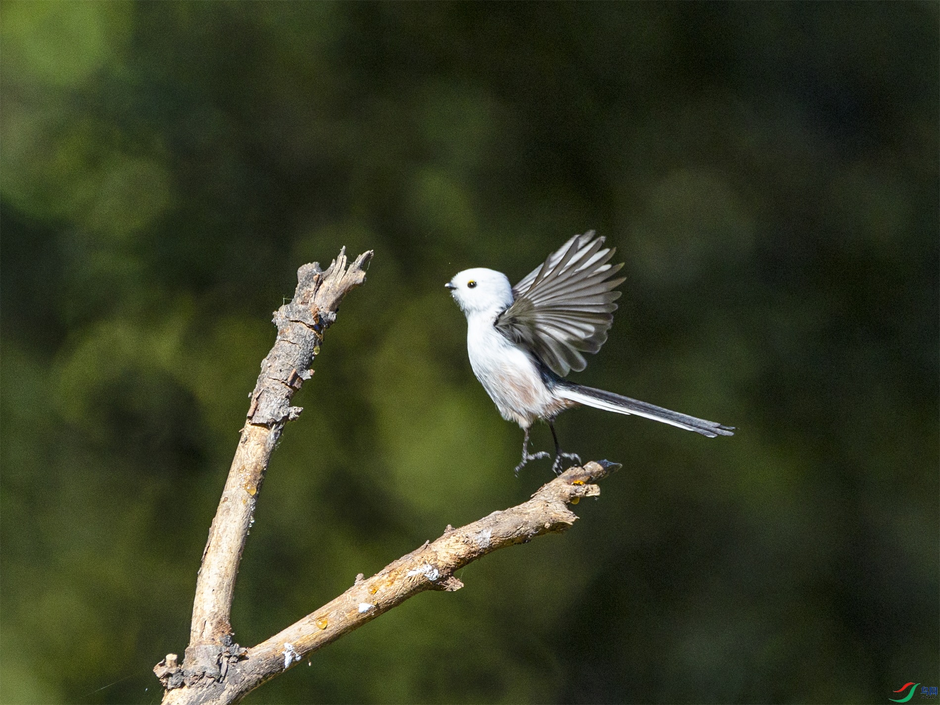 1K3A8797 ����1.jpg