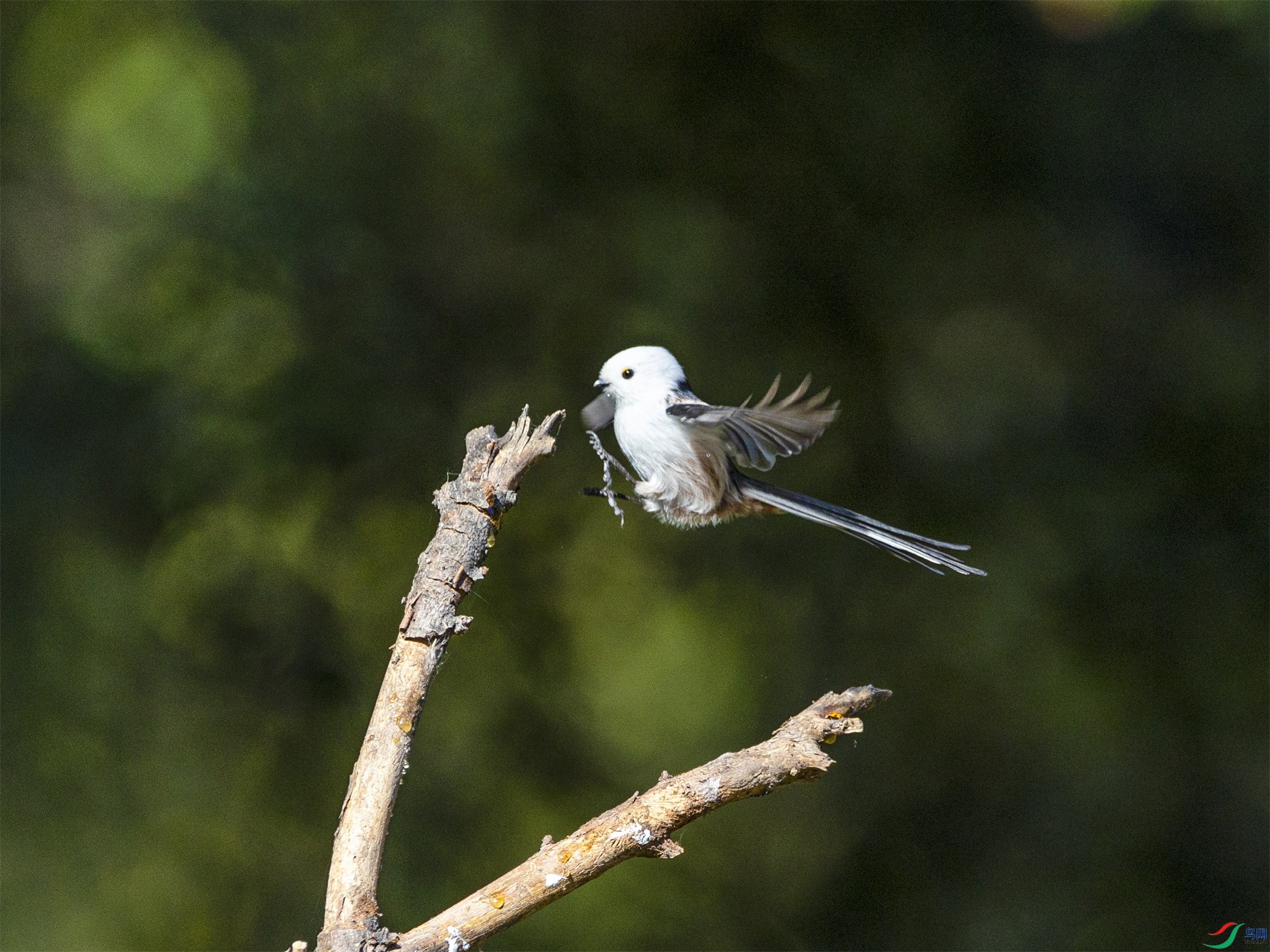 1K3A8798 ����1.jpg