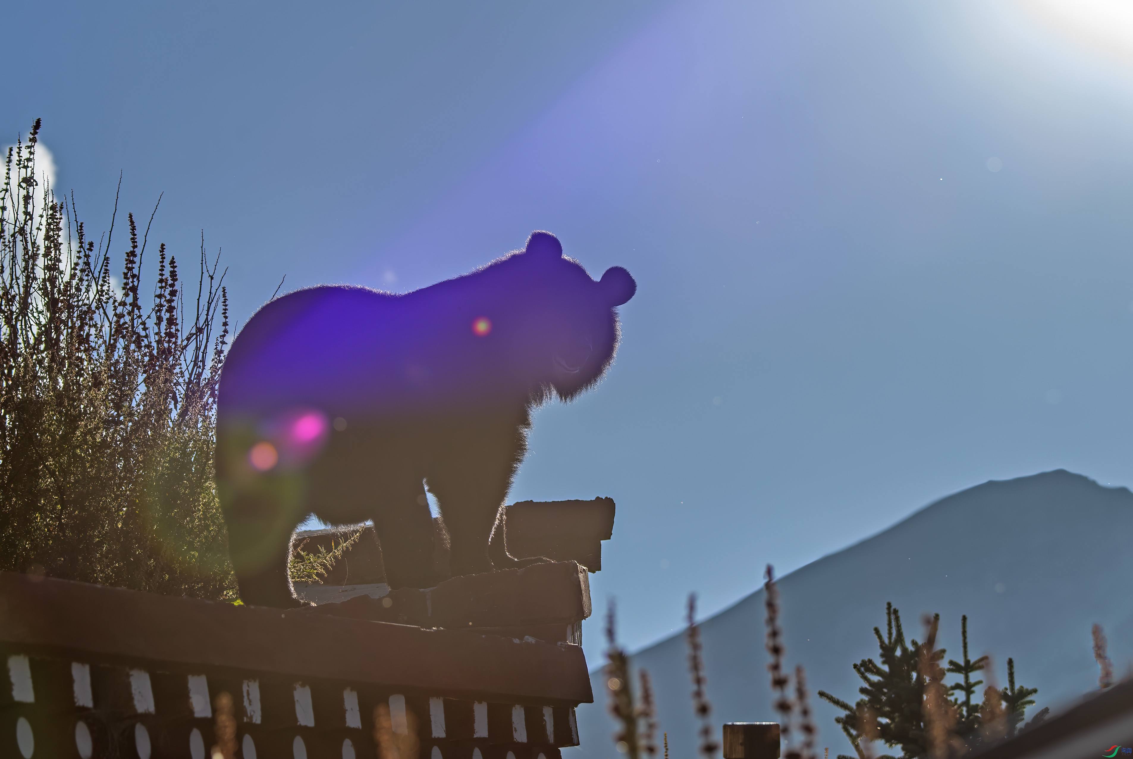 DSC_0080 ����.jpg