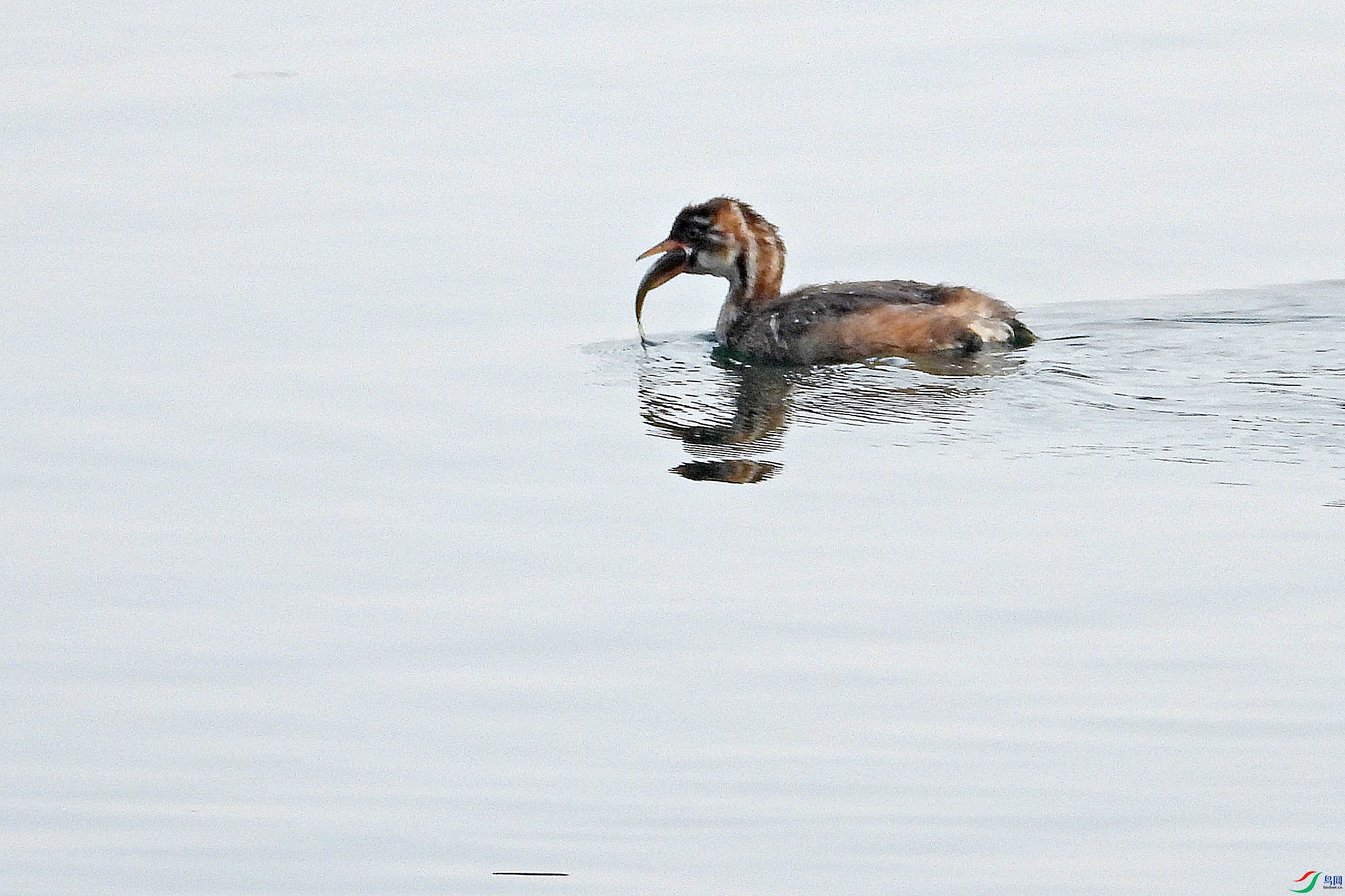 DSCN1514.JPG
