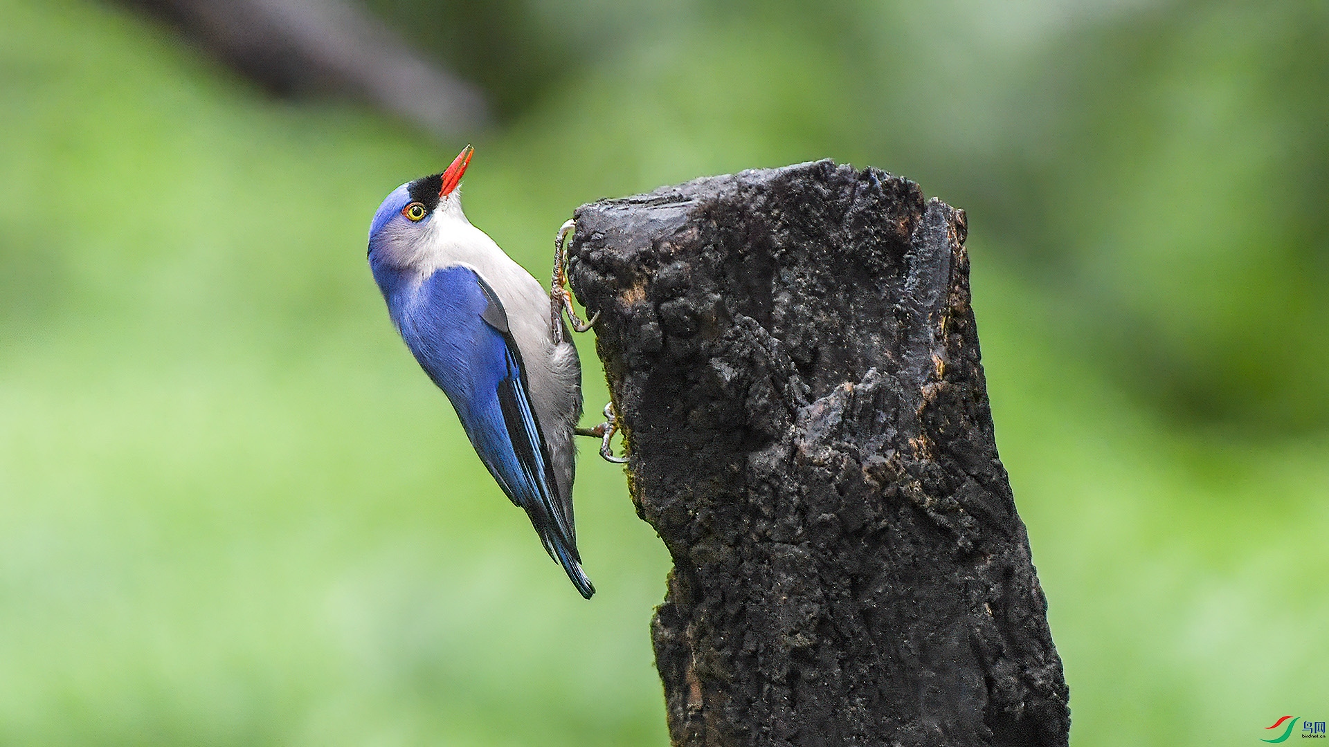 DSC_25nn89.jpg