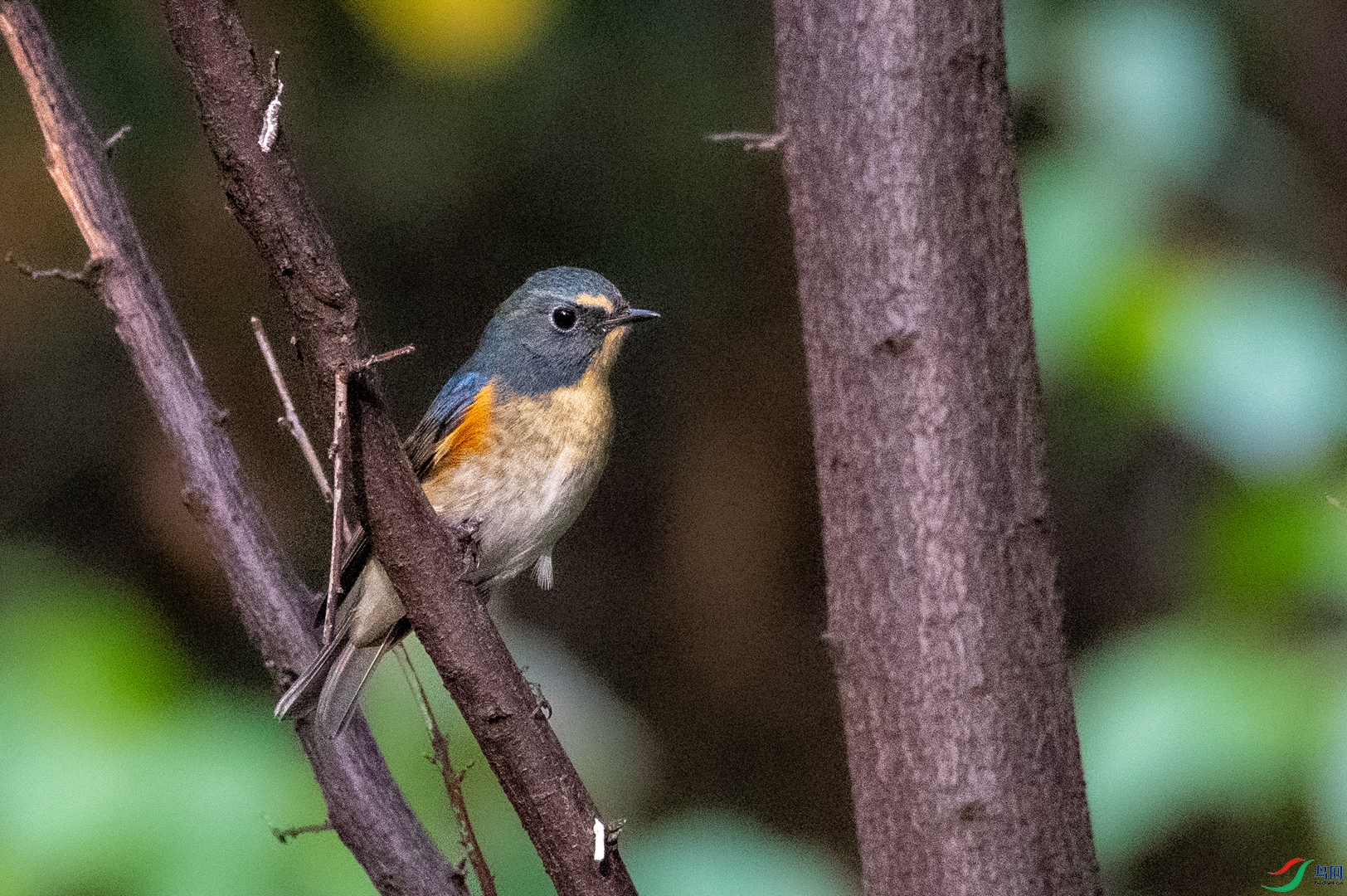 DSC_4464_1.jpg