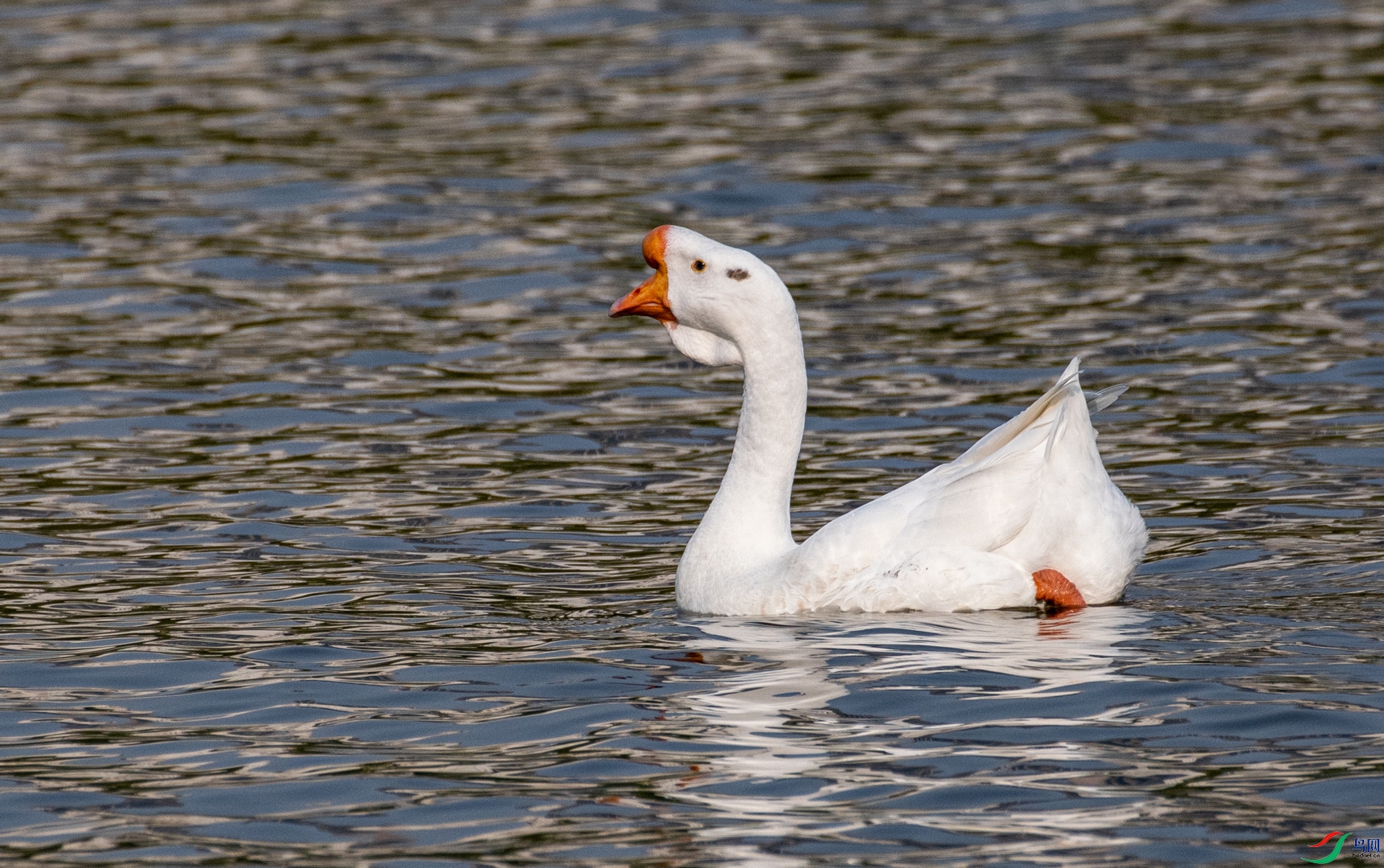 DSC_3836.jpg