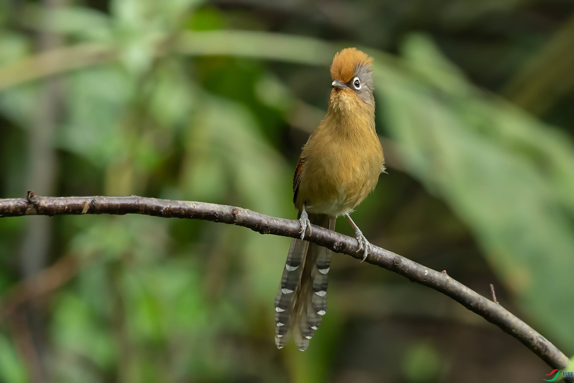 DSC_1179.jpg