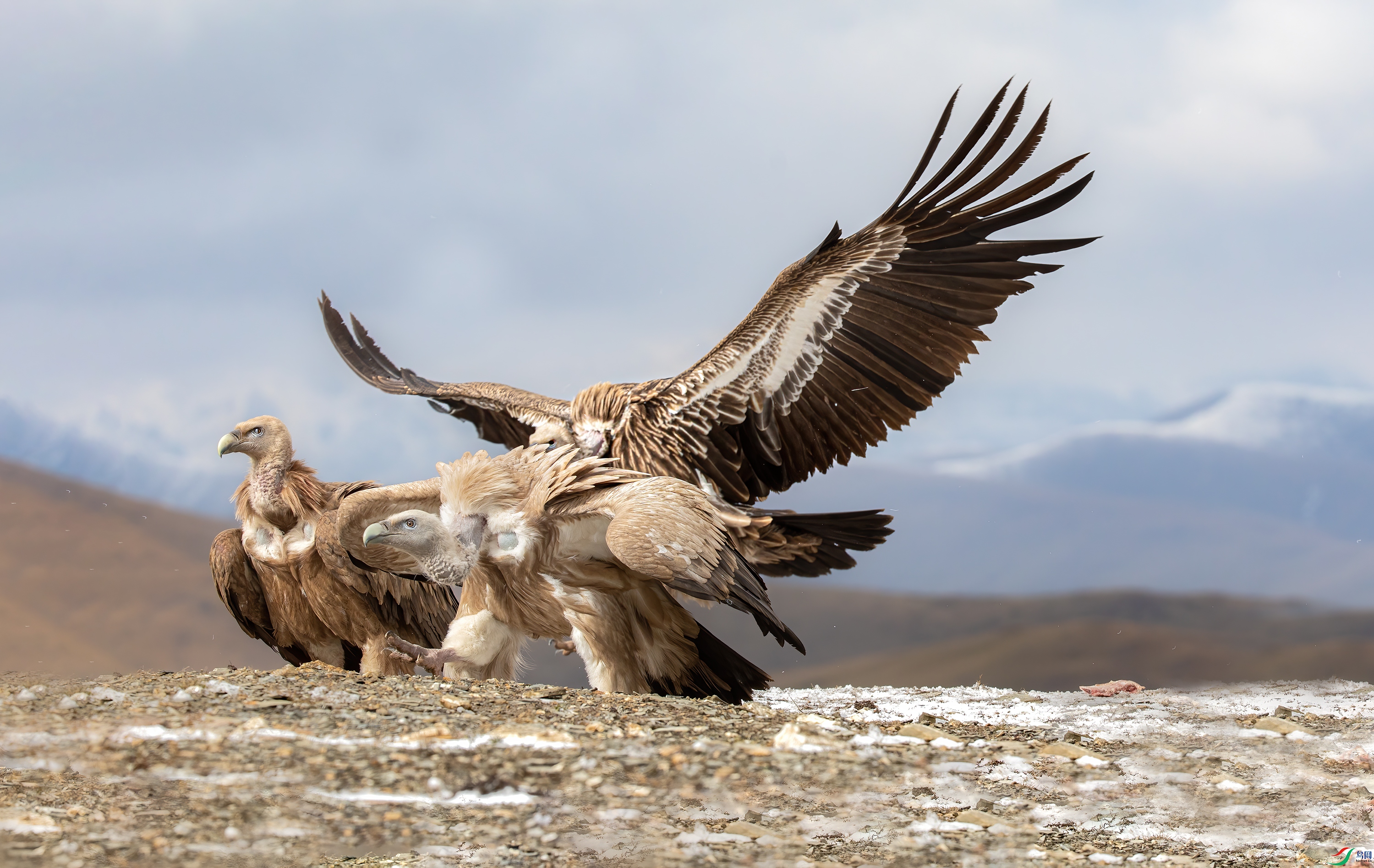 _S5A9937 ����.jpg