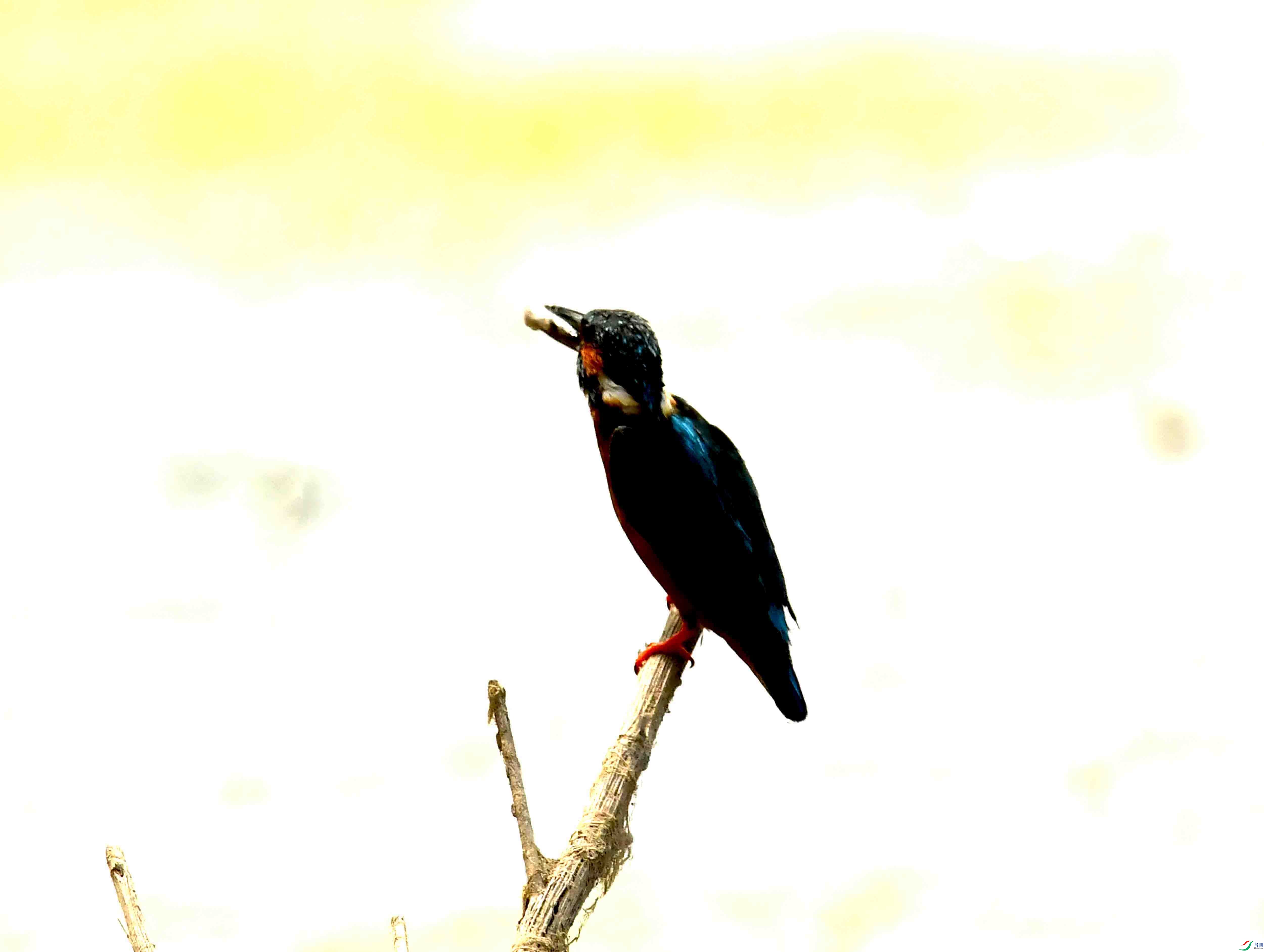 DSC_0017.JPG