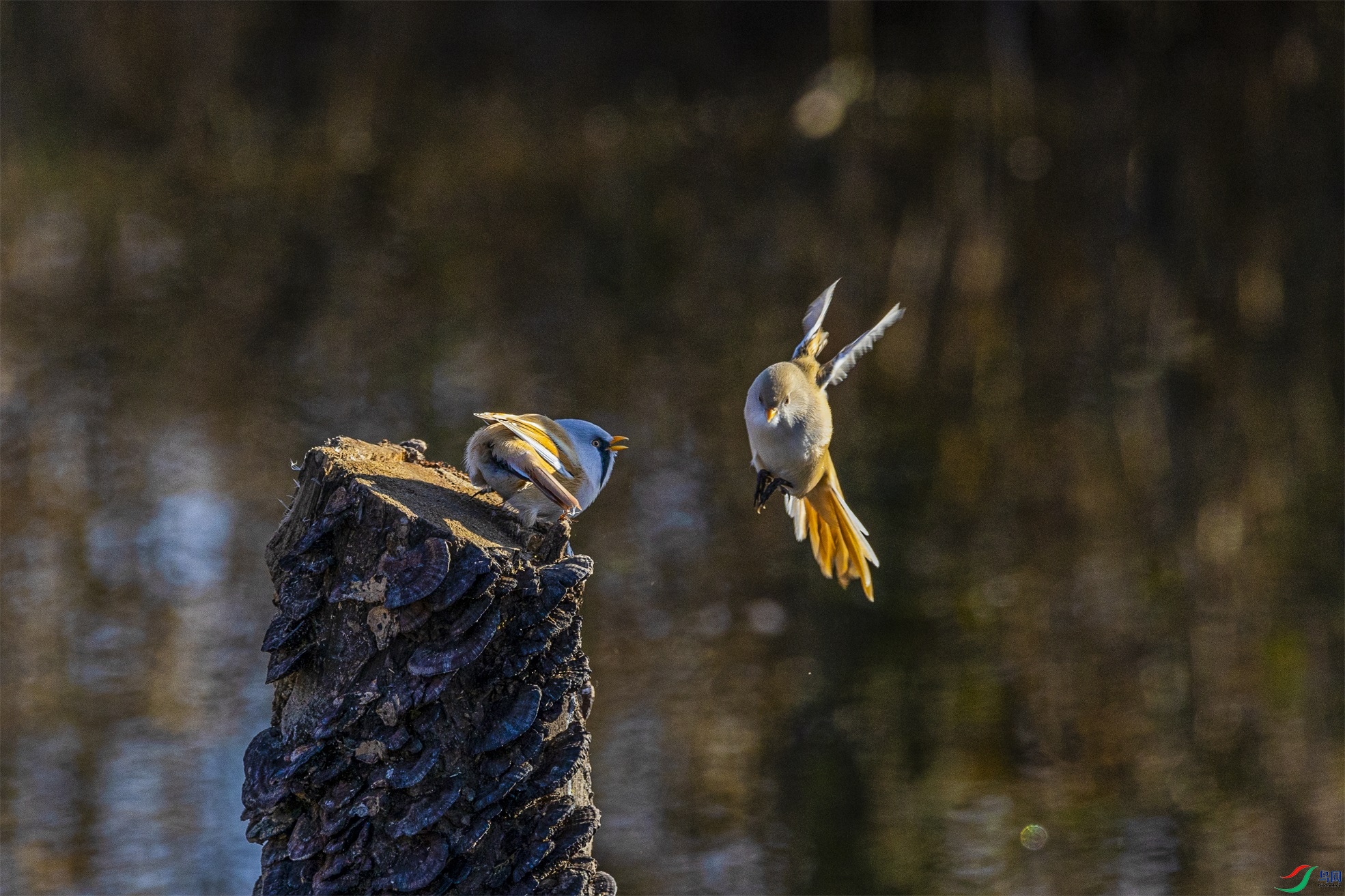 1K3A0198 ����1.jpg