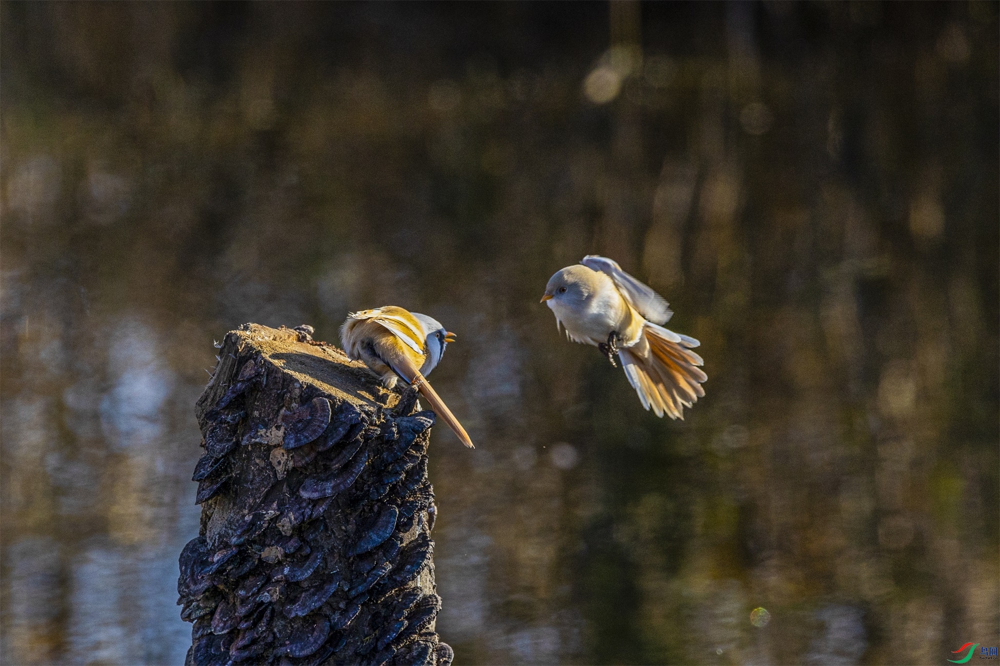 1K3A0197 ����1.jpg