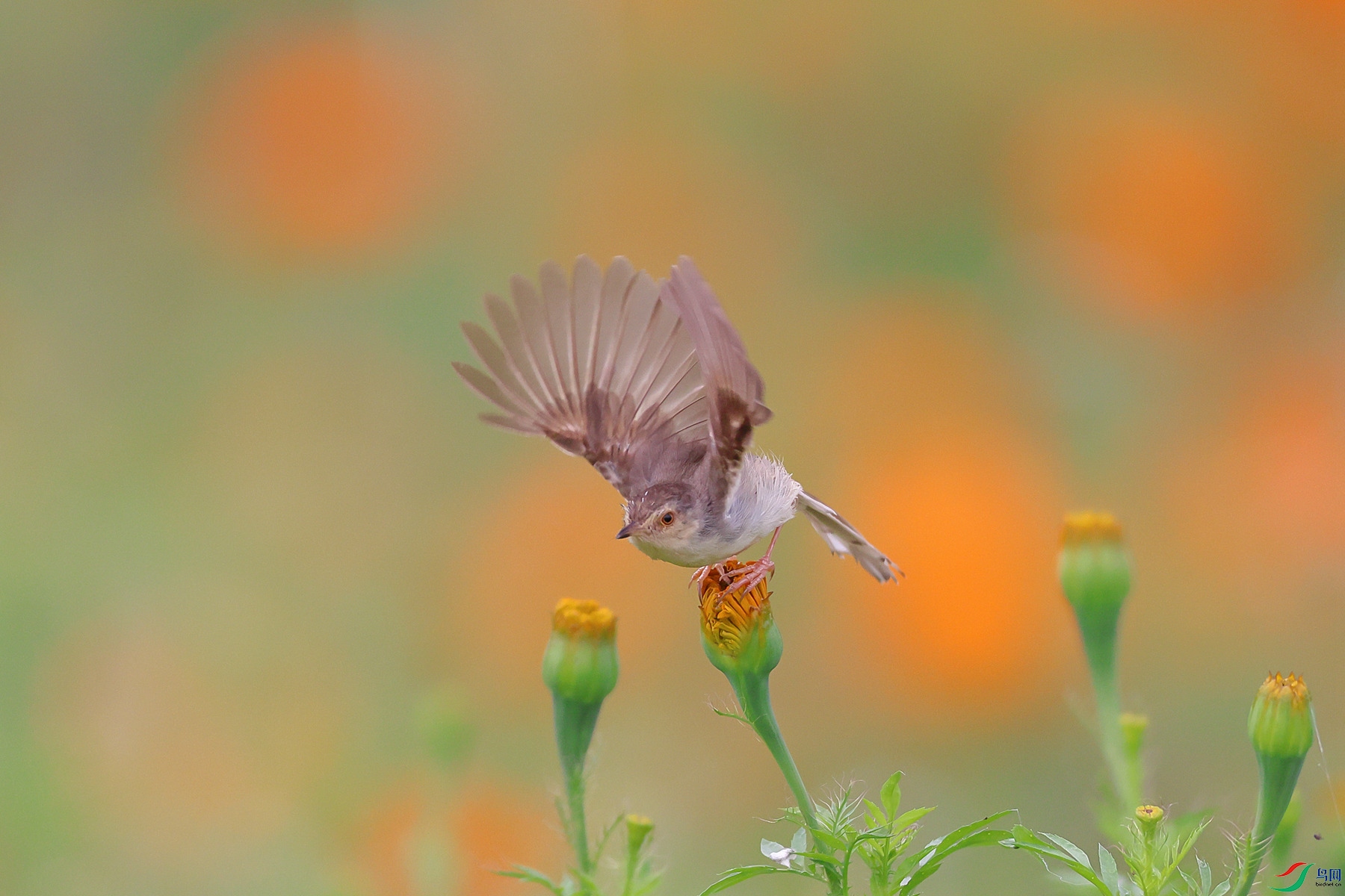 1M6A4053 ����_����.jpg