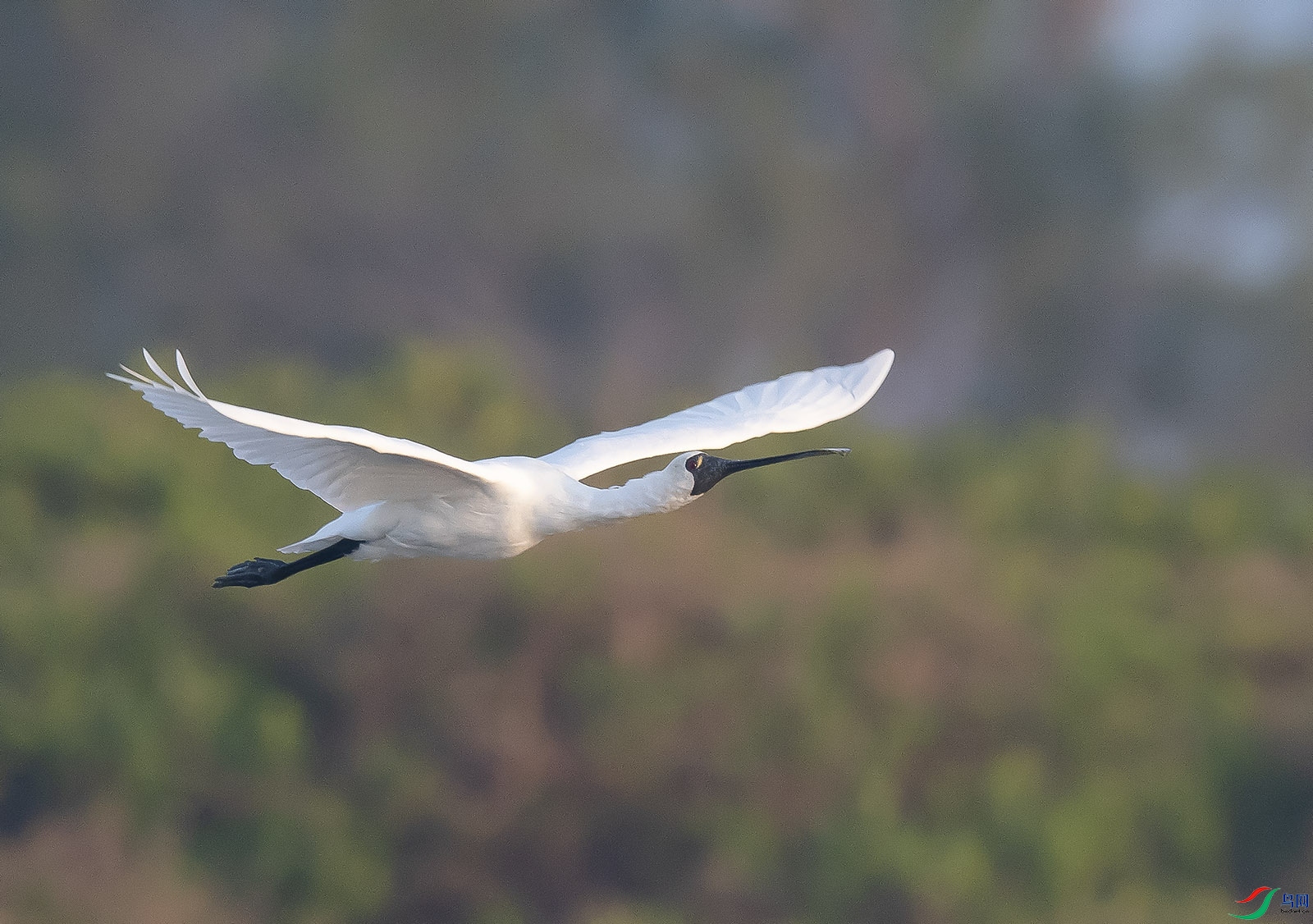 ��319.jpg