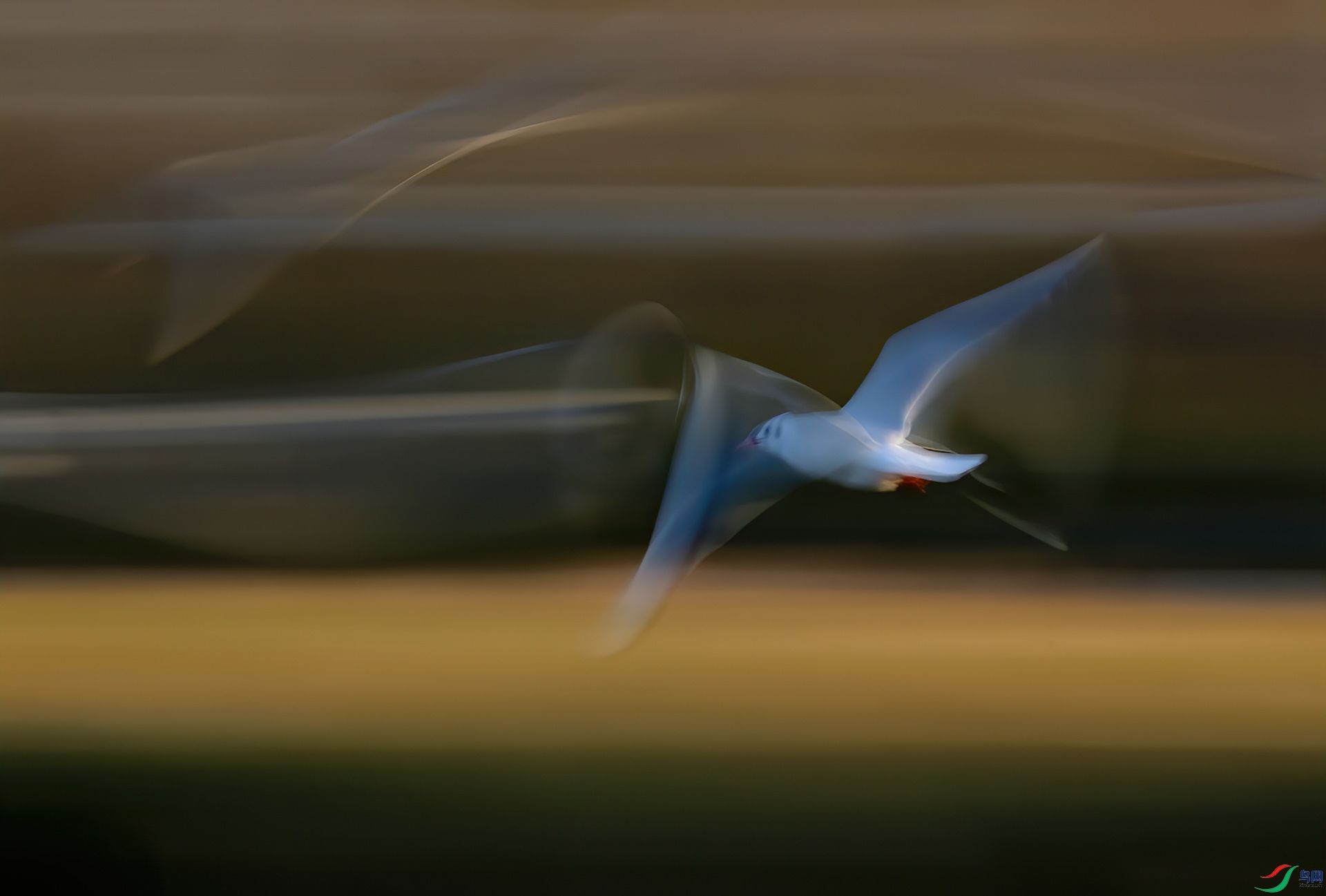 �鳲A0003-----33333.jpg