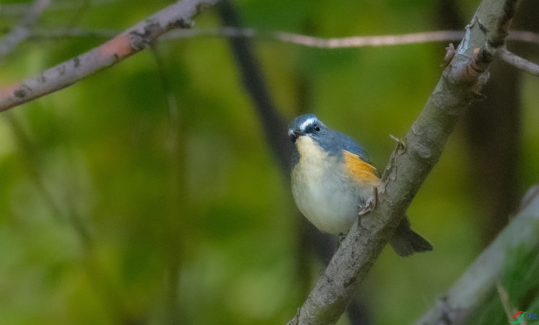 DSC_1105.jpg