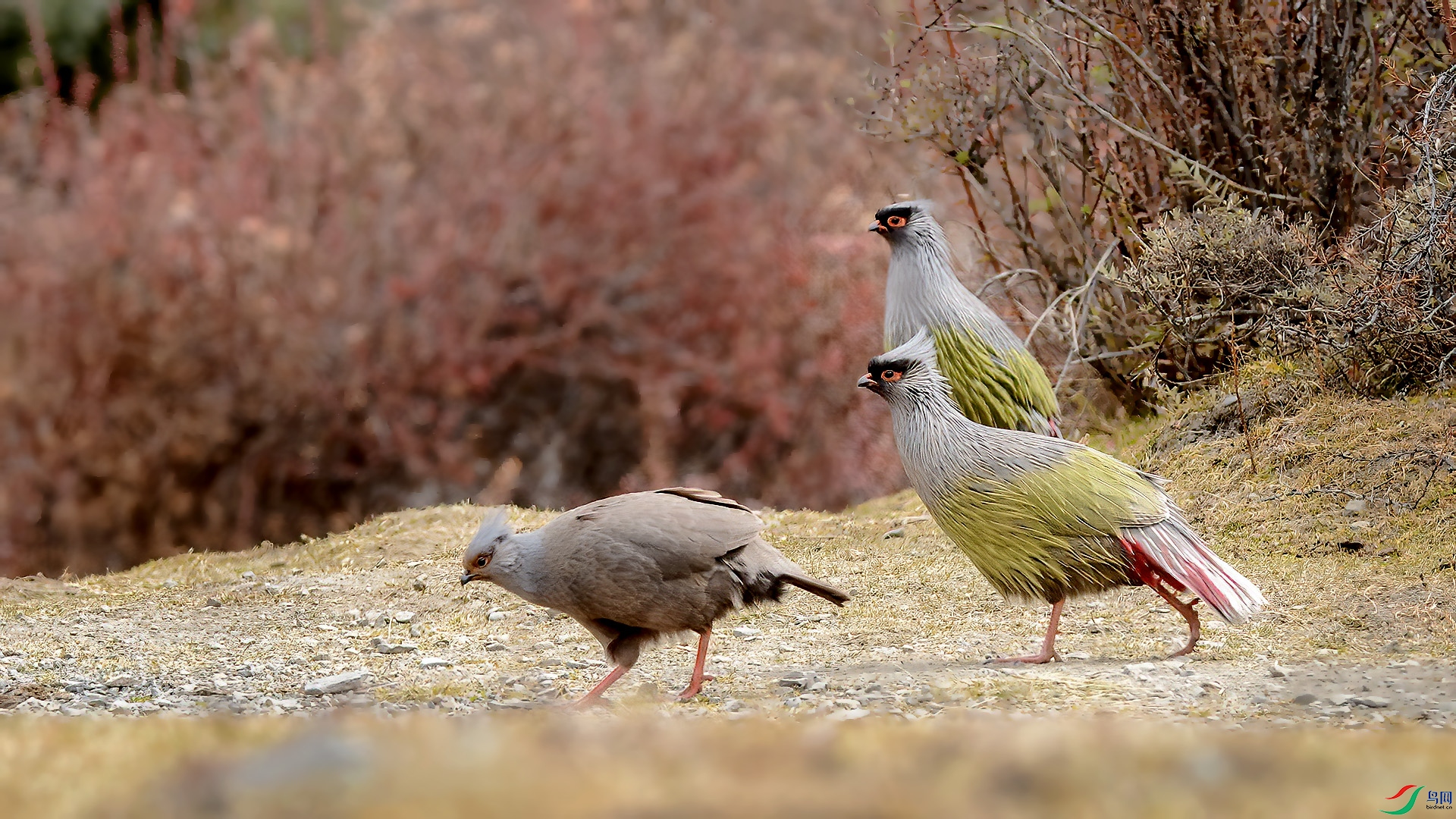 DSC_1vv773.jpg