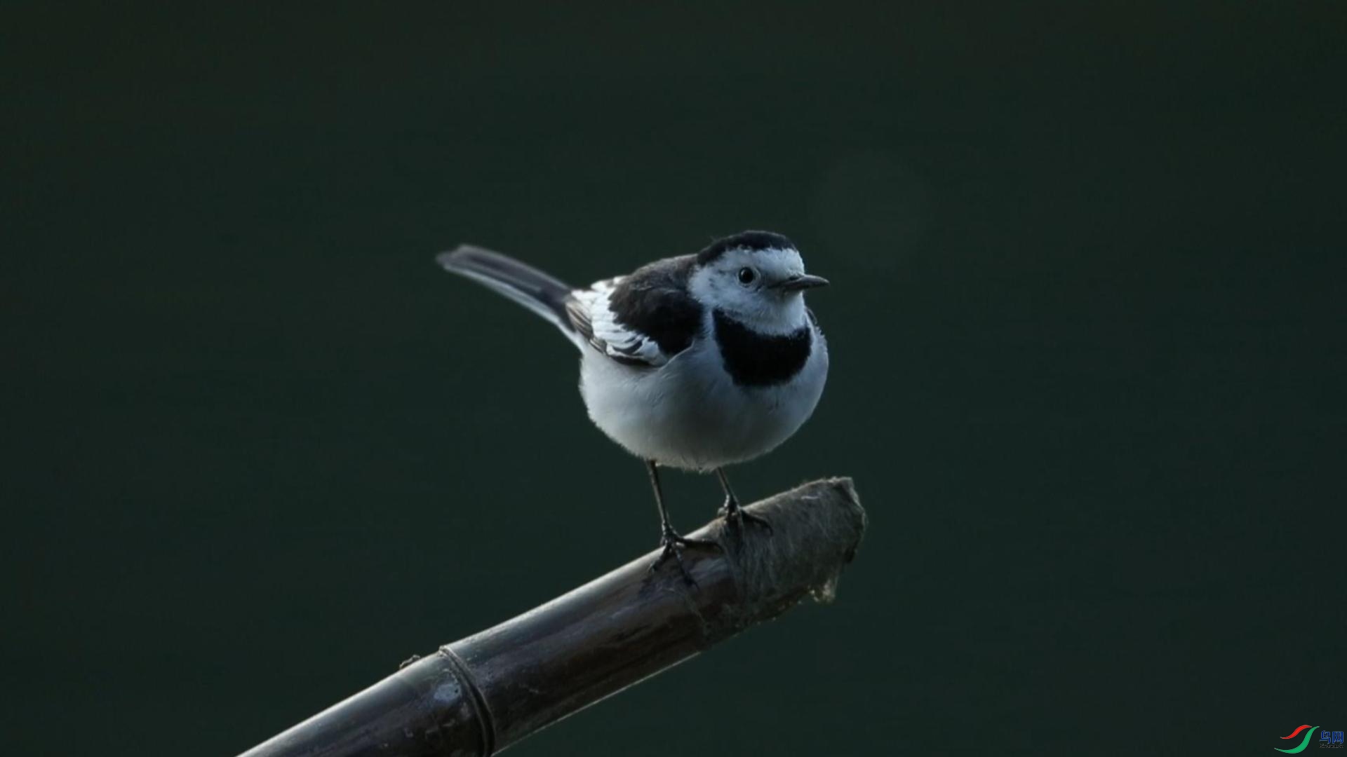 10��13�� (1)-����.jpg