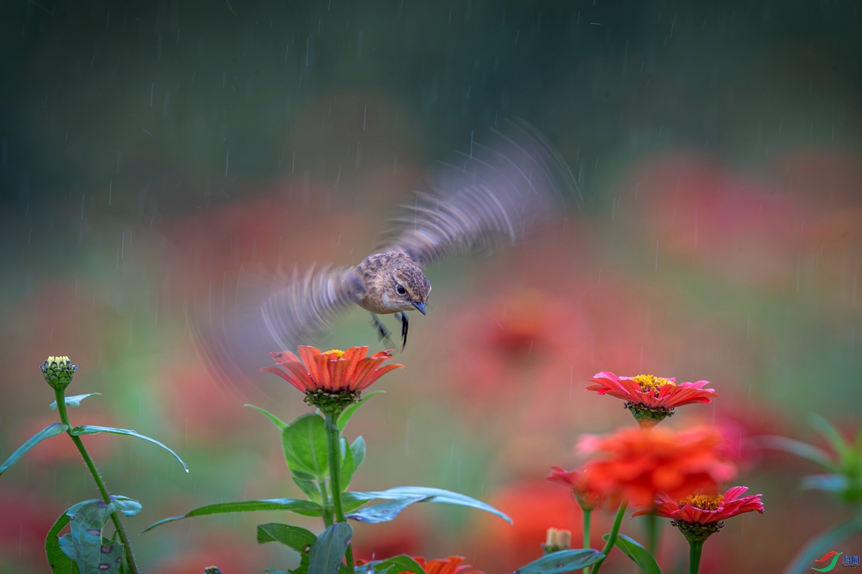 10.9��ϵ5D3��ʦ��Ʒ   ������ʳ  �ٻ�2023��10��9��ÿ�ռ���.jpg