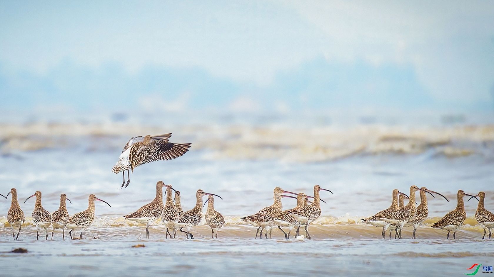 10.8������ѩ��ʦ��Ʒ   ����  �ٻ�2023��10��8����ҳ����.jpg