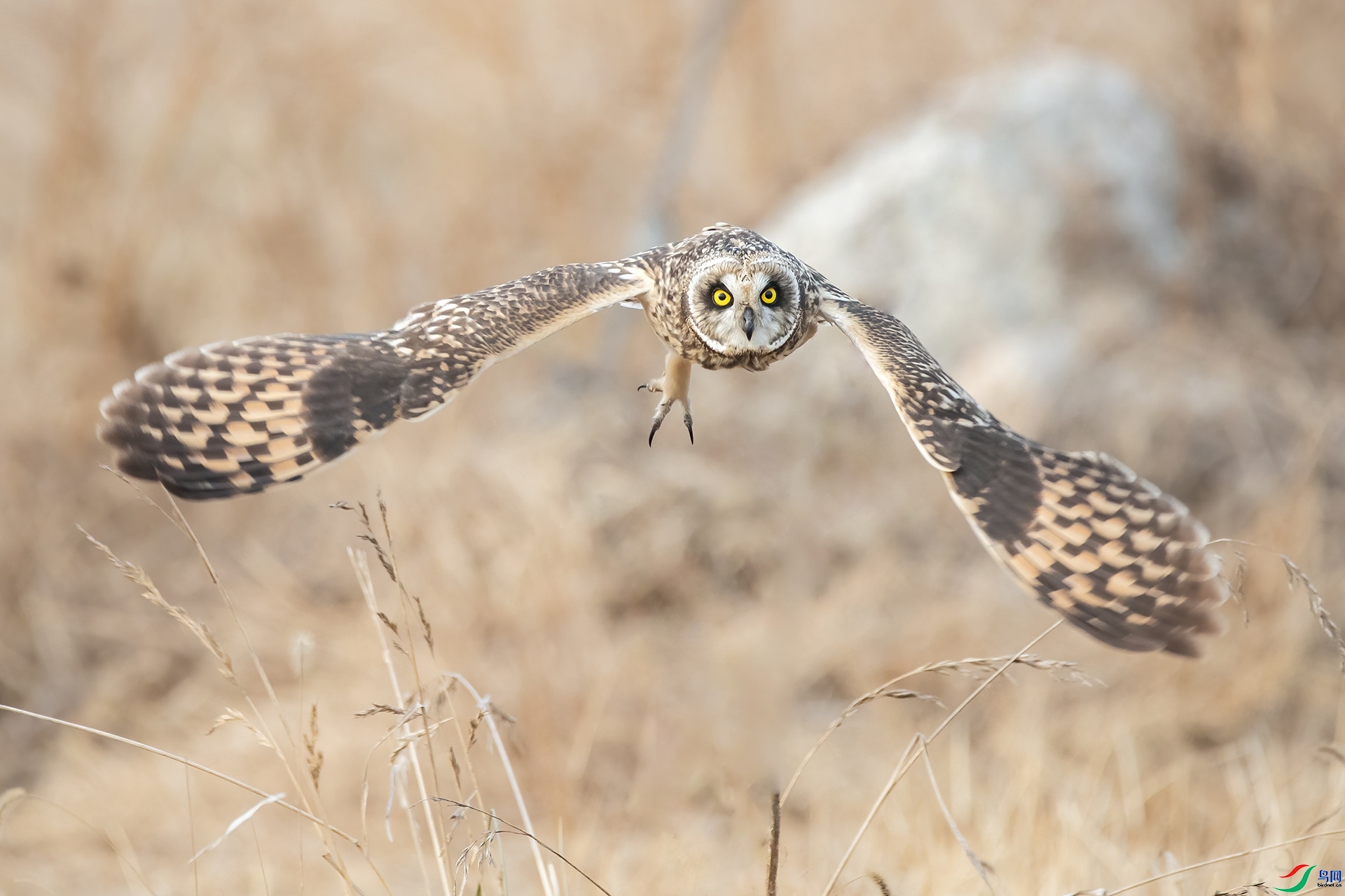 10.9ɽ��ˮ����ʦ��Ʒ   ӭ�����  �ٻ�2023��10��9����ҳ����.jpg