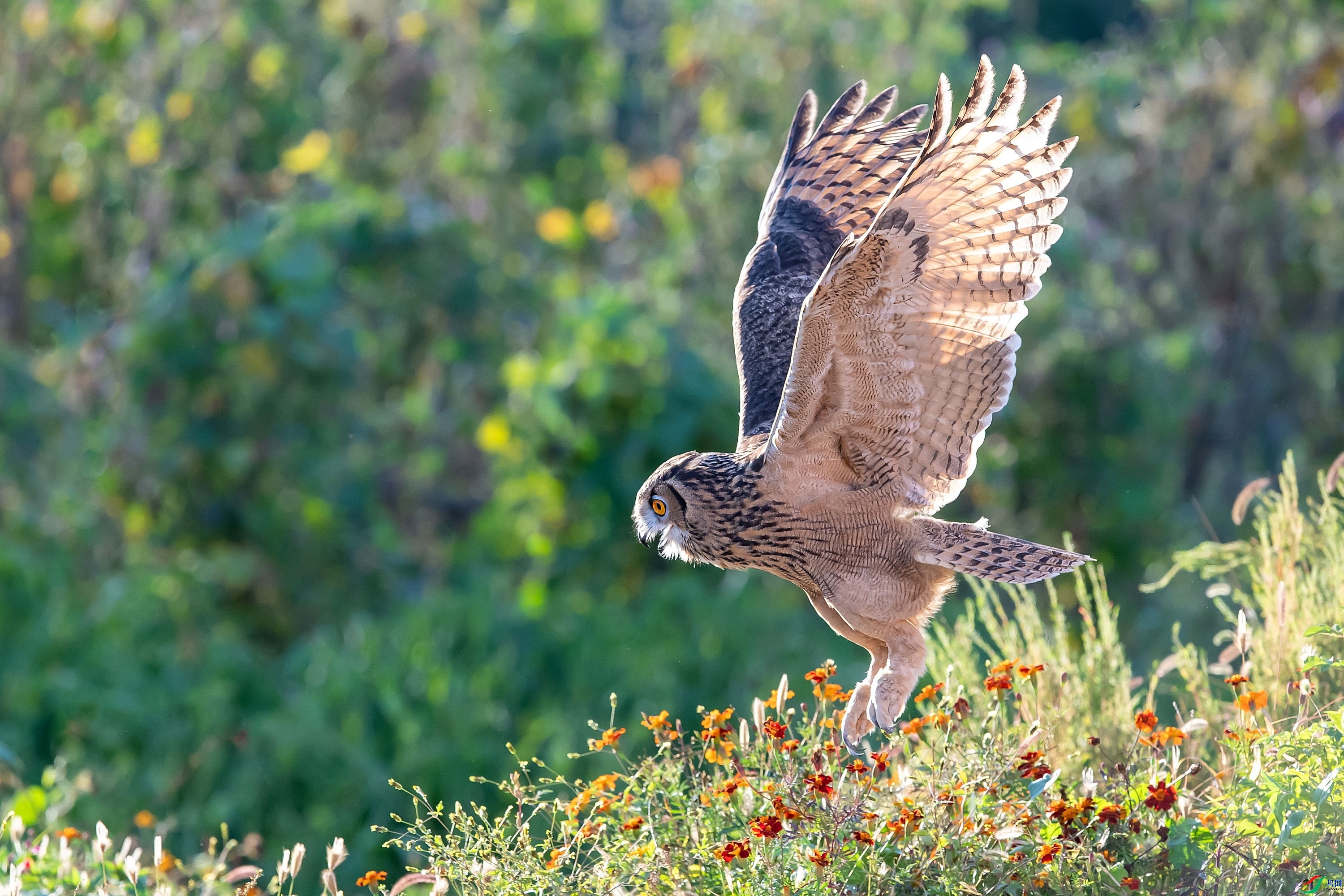 10.9����1183��ʦ��Ʒ   ���^����ɽ  �ٻ�2023��10��9����ҳ����.jpg