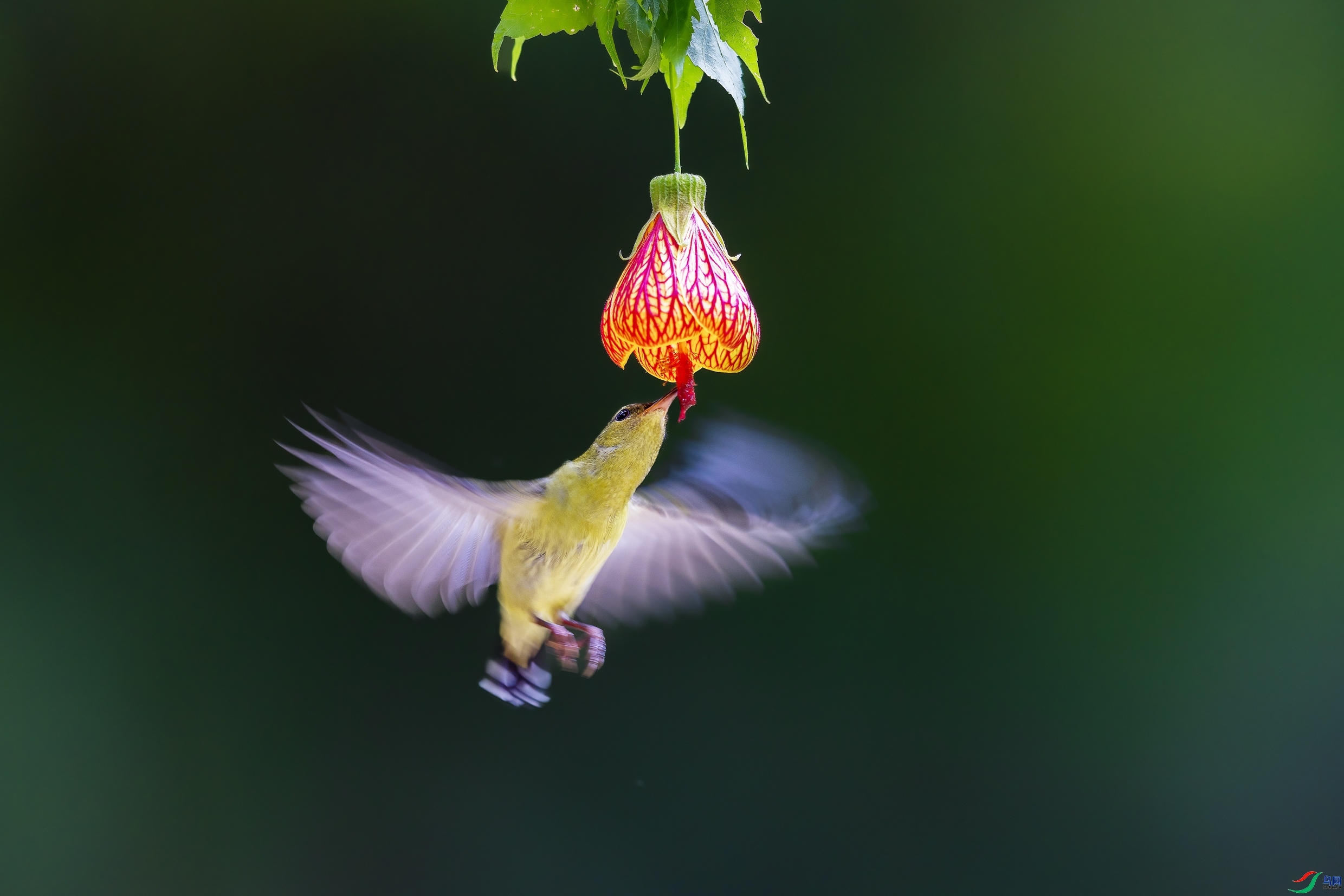 10.9Դ����Ȼ��ʦ��Ʒ  ��������졿  �ٻ�2023��10��9����ҳ����.jpg