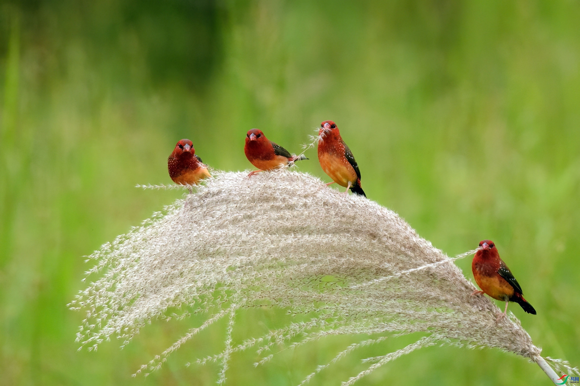 10.10Hare5��ʦ��Ʒ   ����ͬ��  �ٻ�2023��10��10����ҳ����.jpg