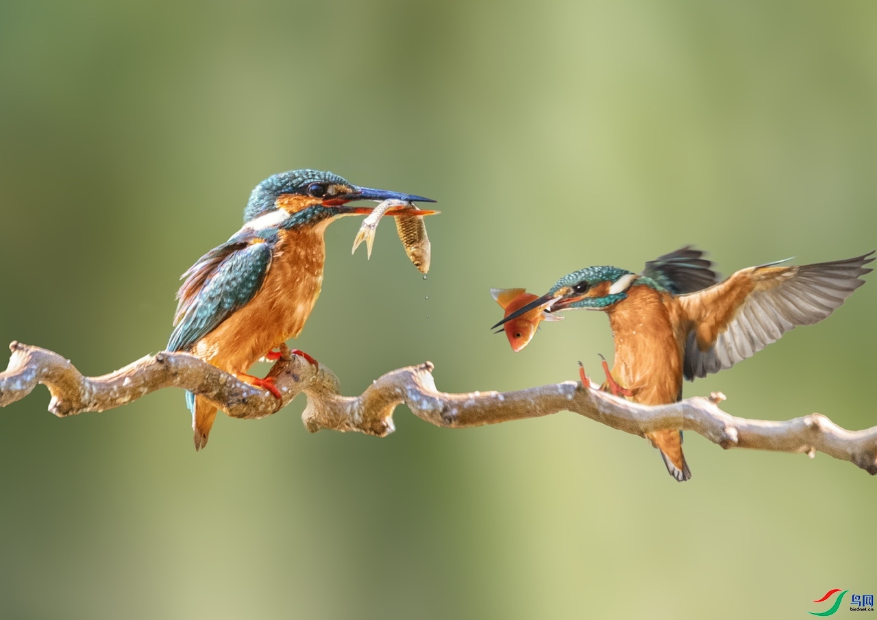 10.10���죨��������ʦ��Ʒ   ͬ�͹���  �ٻ�2023��10��10����ҳ����.jpg