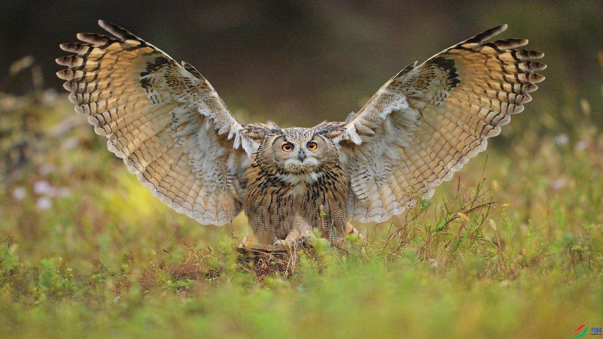 10.10��ɫe�ռ���ʦ��Ʒ   չ��  �ٻ�2023��10��10����ҳ����.jpg