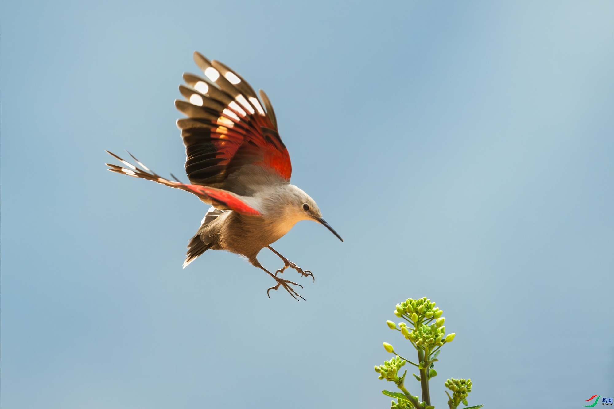 10.11���ʿ���ʦ��Ʒ   һ ֻ �� �� ��  �ٻ�2023��10��11����ҳ����.jpg