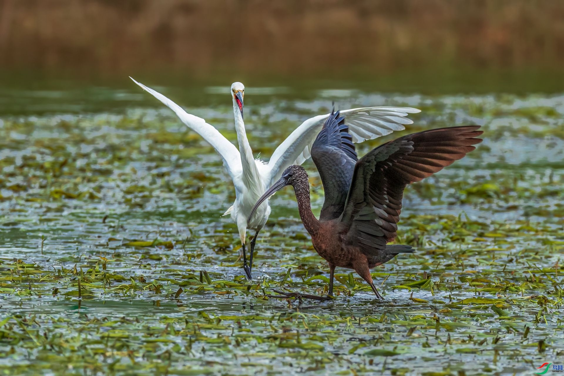 10.11��ϵ5D3��ʦ��Ʒ   ����  �ٻ�2023��10��11����ҳ����.jpg