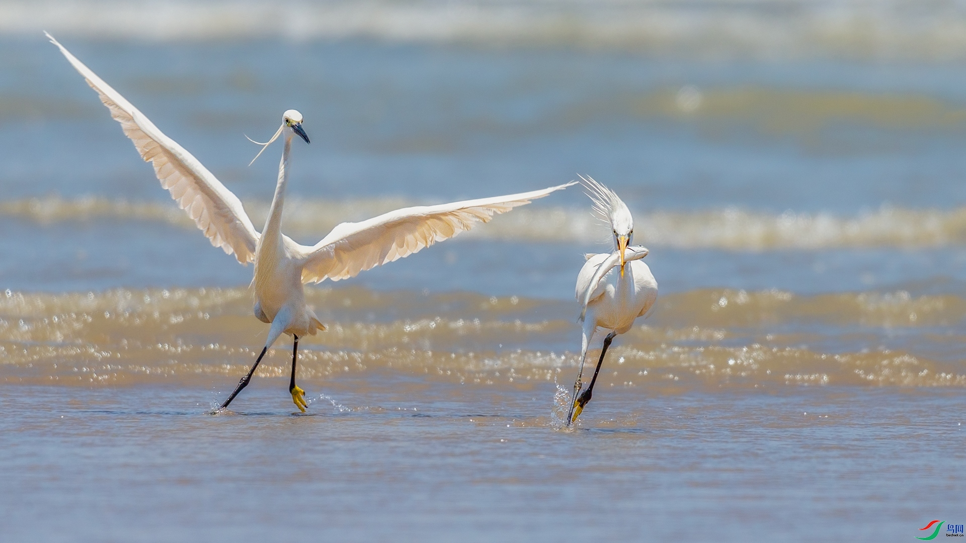 10.11������ѩ��ʦ��Ʒ  �������  �ٻ�2023��10��11����ҳ����.jpg