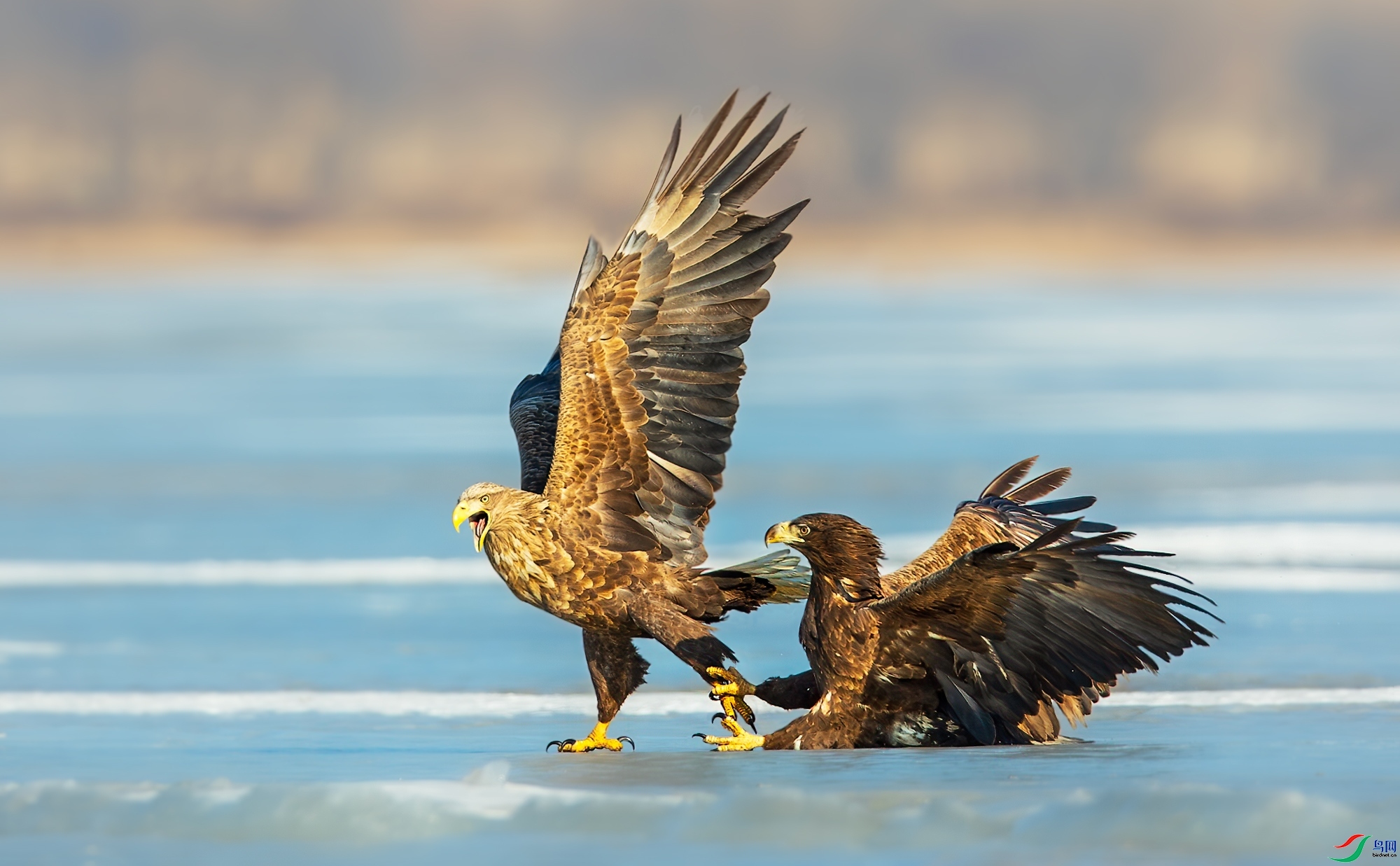 10.11������ͯ��ʦ��Ʒ   �� ��  �ٻ�2023��10��11����ҳ����.jpg