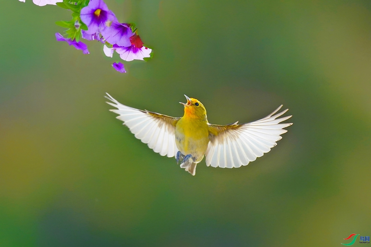 10.12��ƽ��ʦ��Ʒ   ����չ��  �ٻ�2023��10��12����ҳ����..jpg