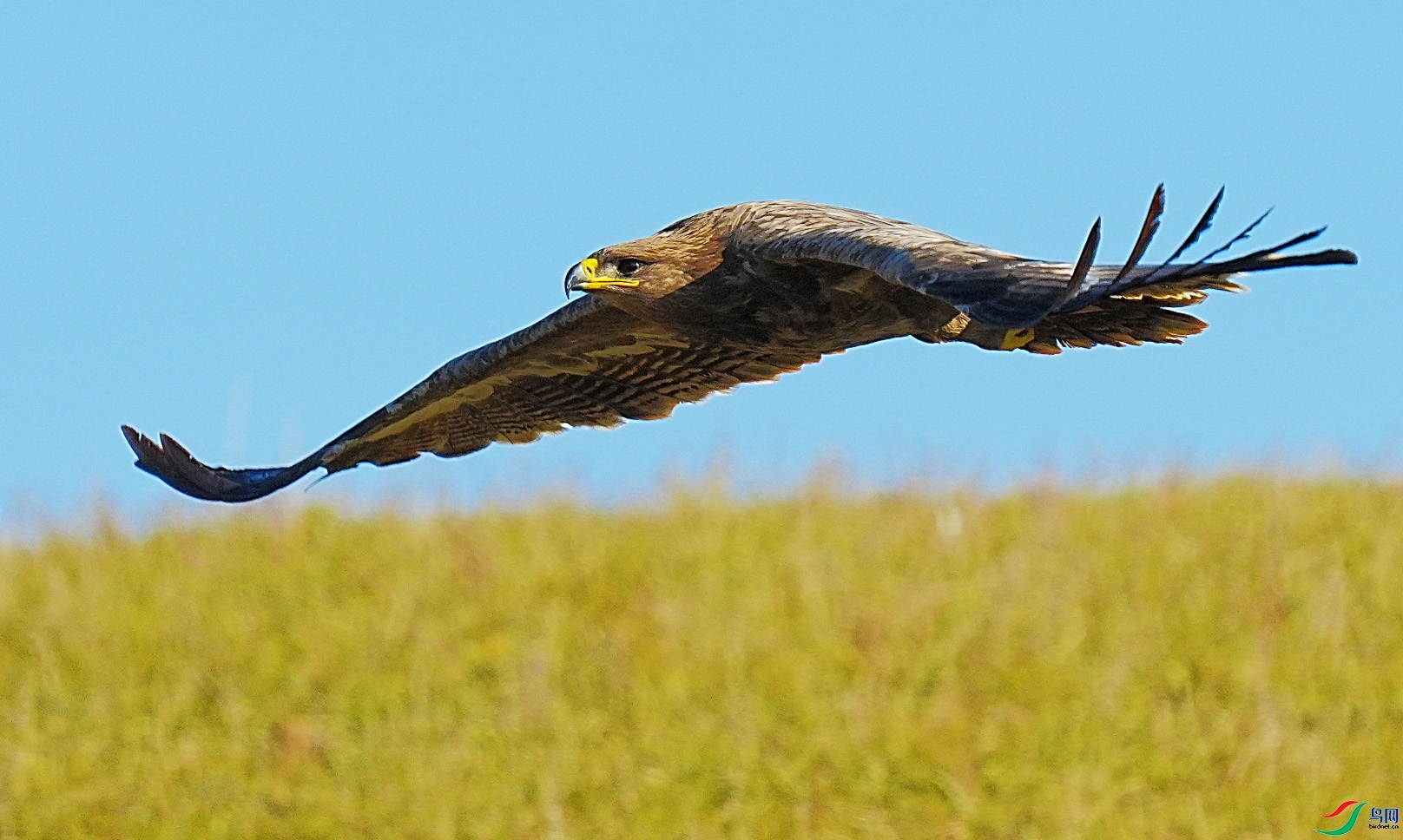 10.13�Ϻӿ���ʦ��Ʒ   ��ԭ��  �ٻ�2023��10��13����ҳ����.jpg