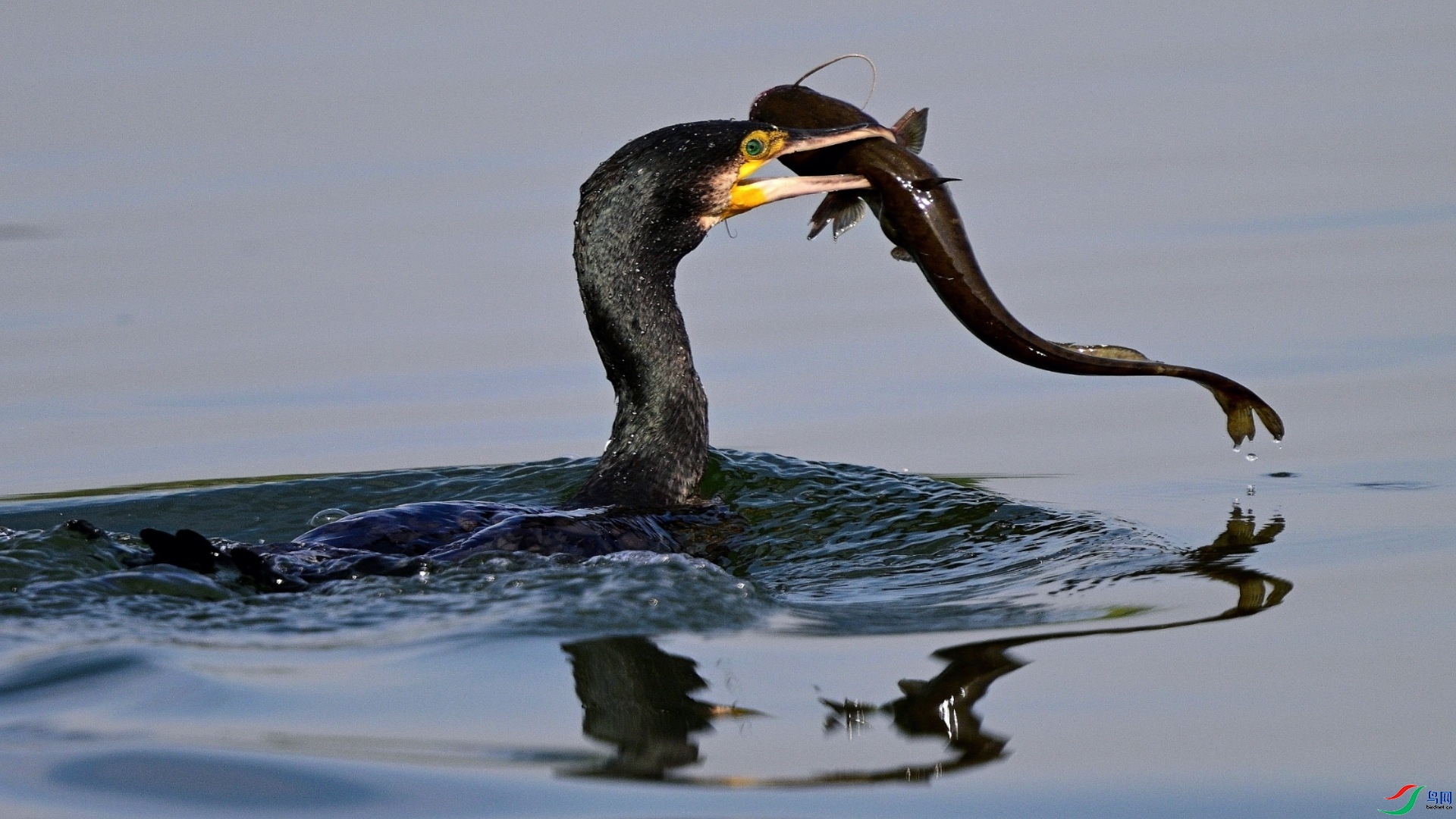 10.13��ɫe�ռ���ʦ��Ʒ   ����  �ٻ�2023��10��13����ҳ����.jpg