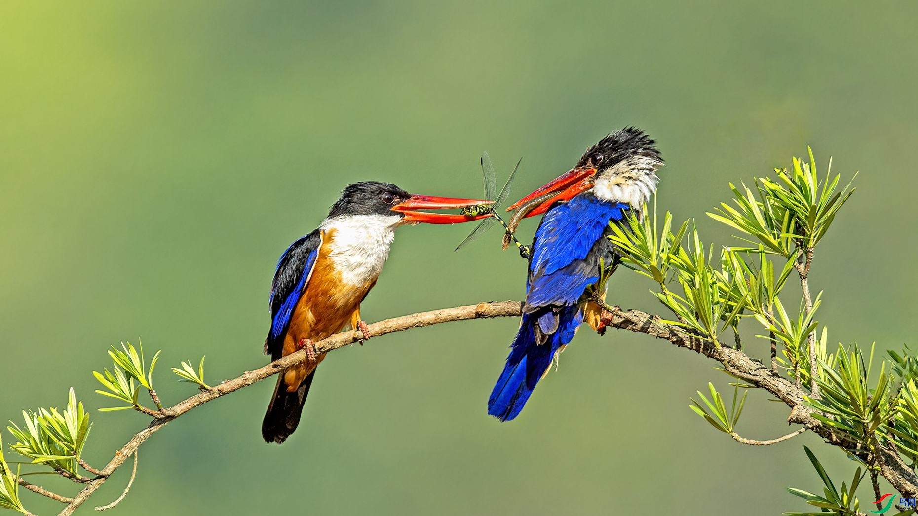 10.13�ٽ���ʦ��Ʒ   �����  �ٻ�2023��10��13����ҳ����.jpg